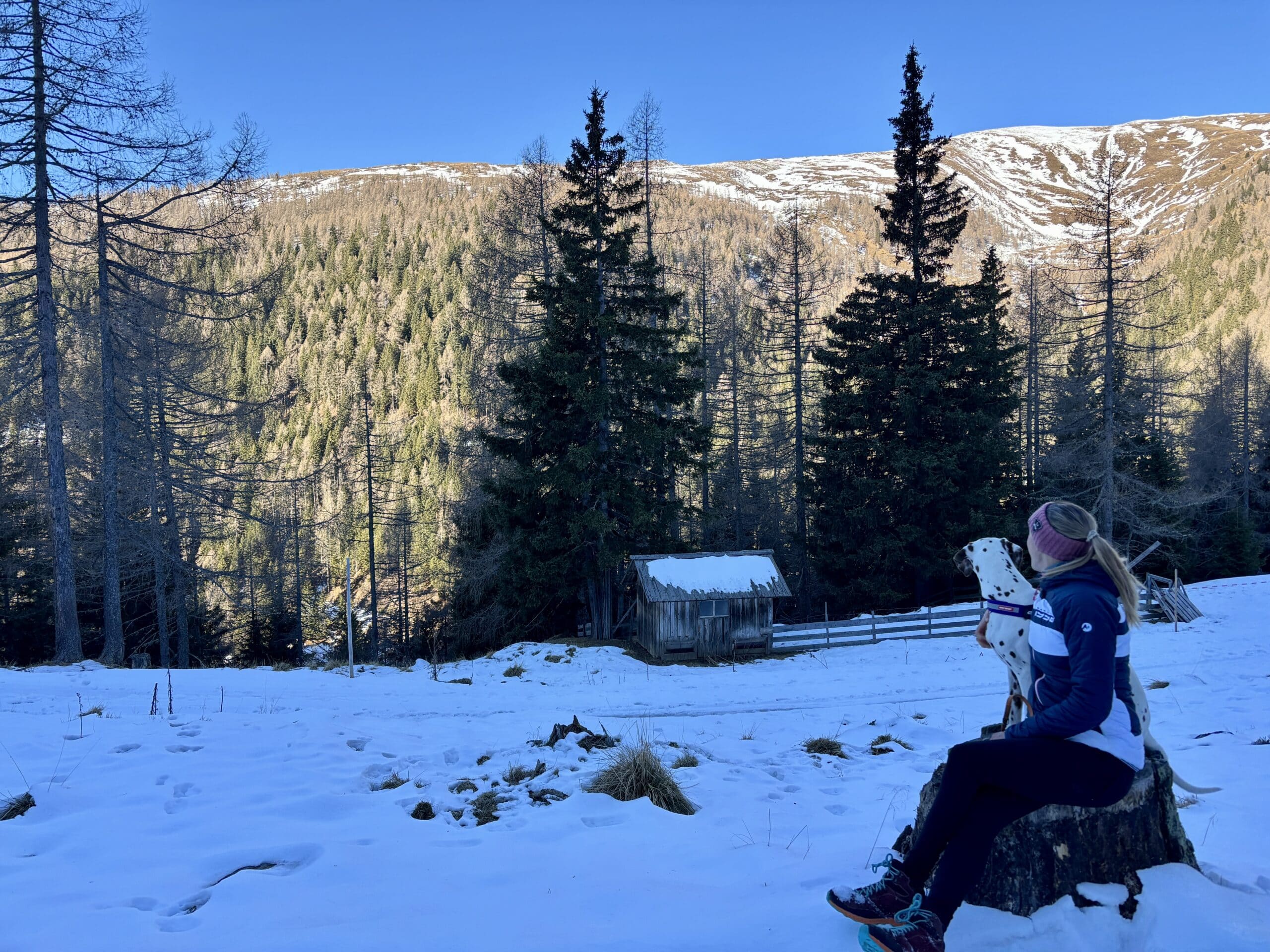 Winterwandern mit Hund zum Falkerthaus und Lärchenhütte