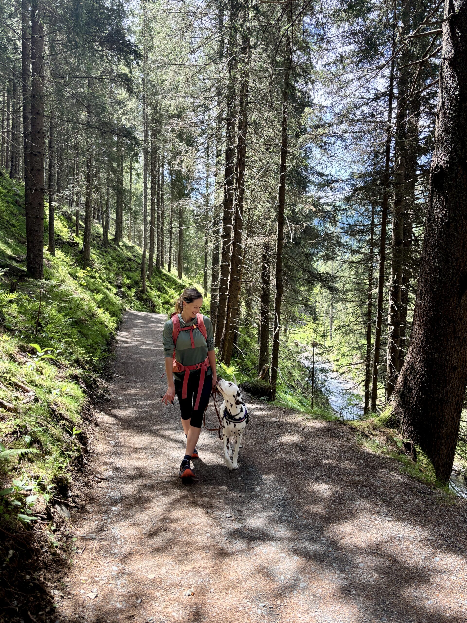 Frau wandert mit Hund durch Wald in St.Oswald in Kärnten