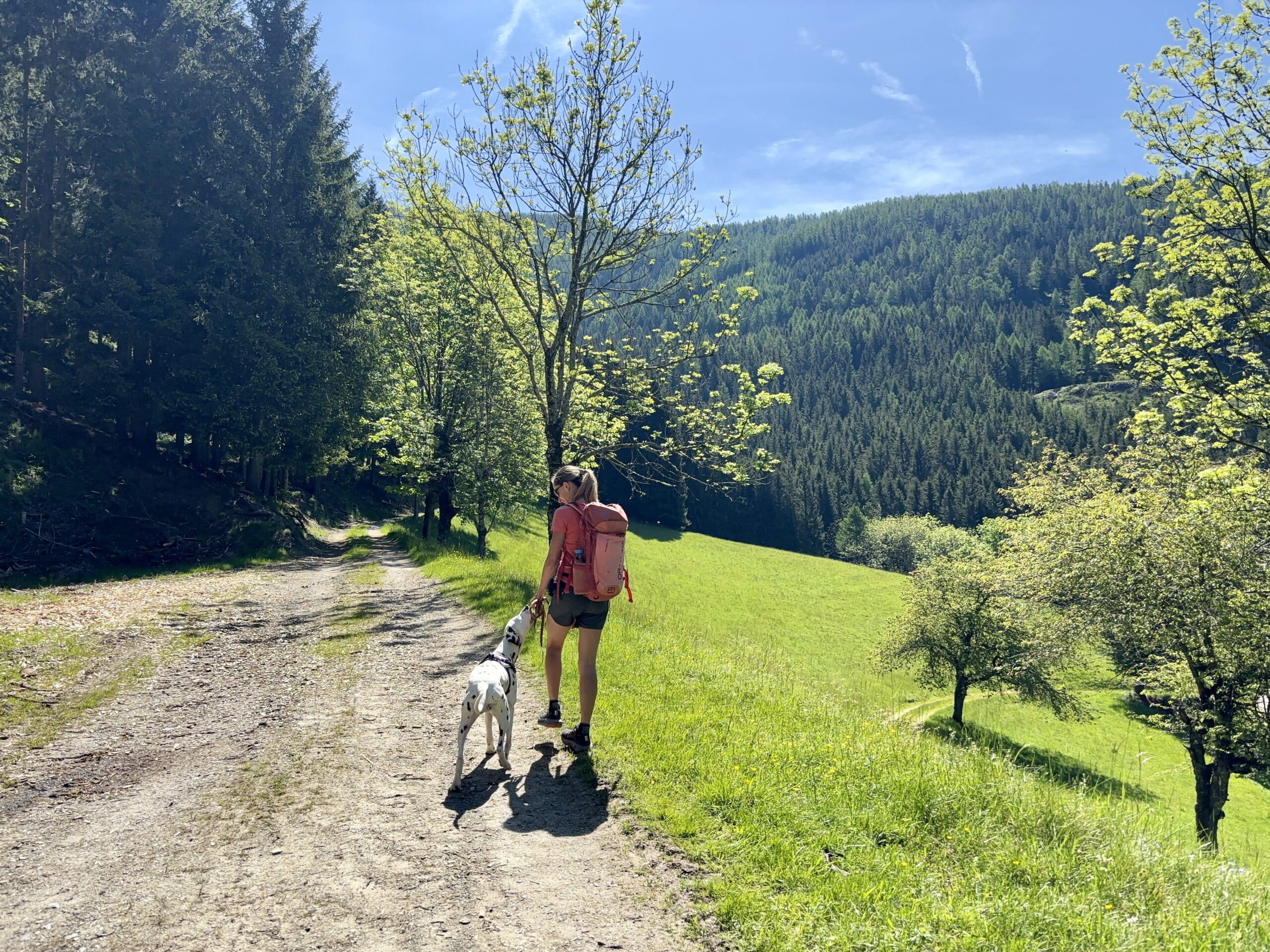 Frau wandert mit Hund in St.Oswald am Hochsteig.