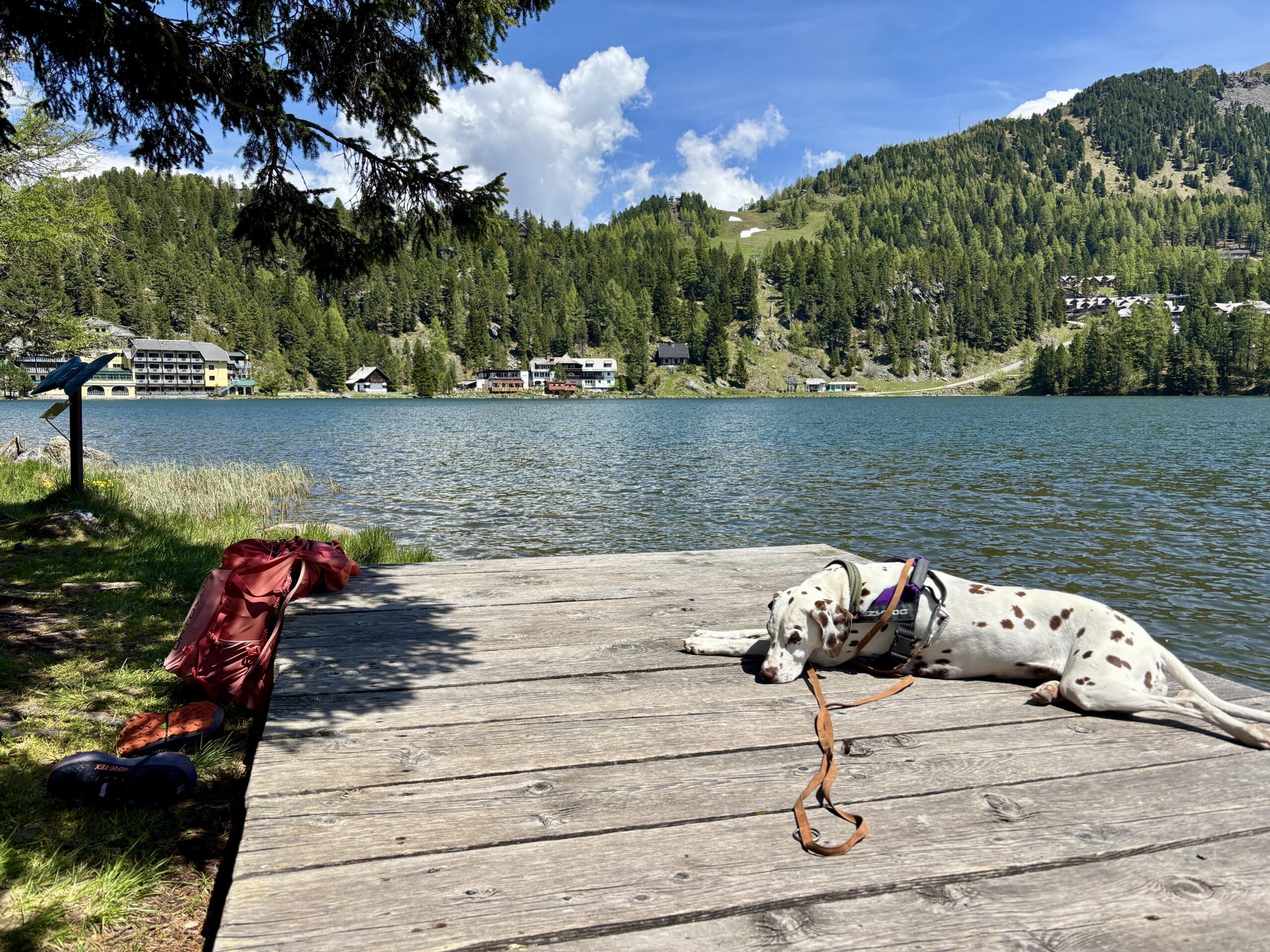 Hund liegt auf Holzsteg am Turrachsee; umgeben von Bergen; Ausflug und Baden mit Hund