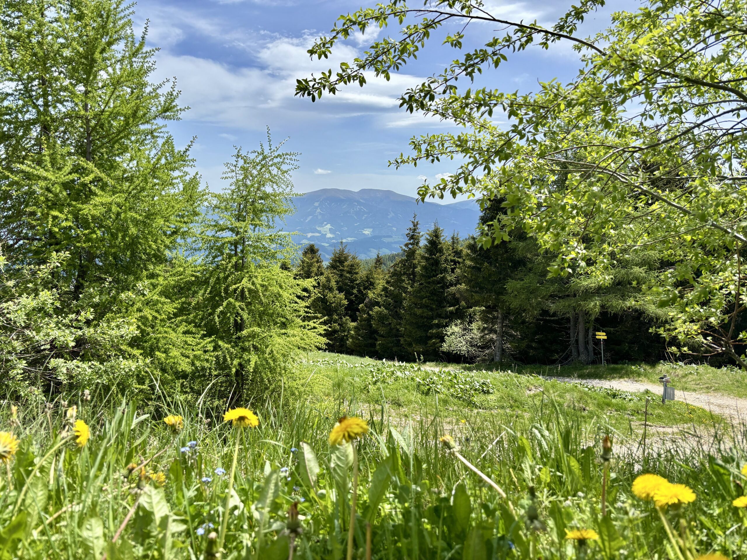 Wandern Zirbitzkogel Seetaler Alpen Ausblick