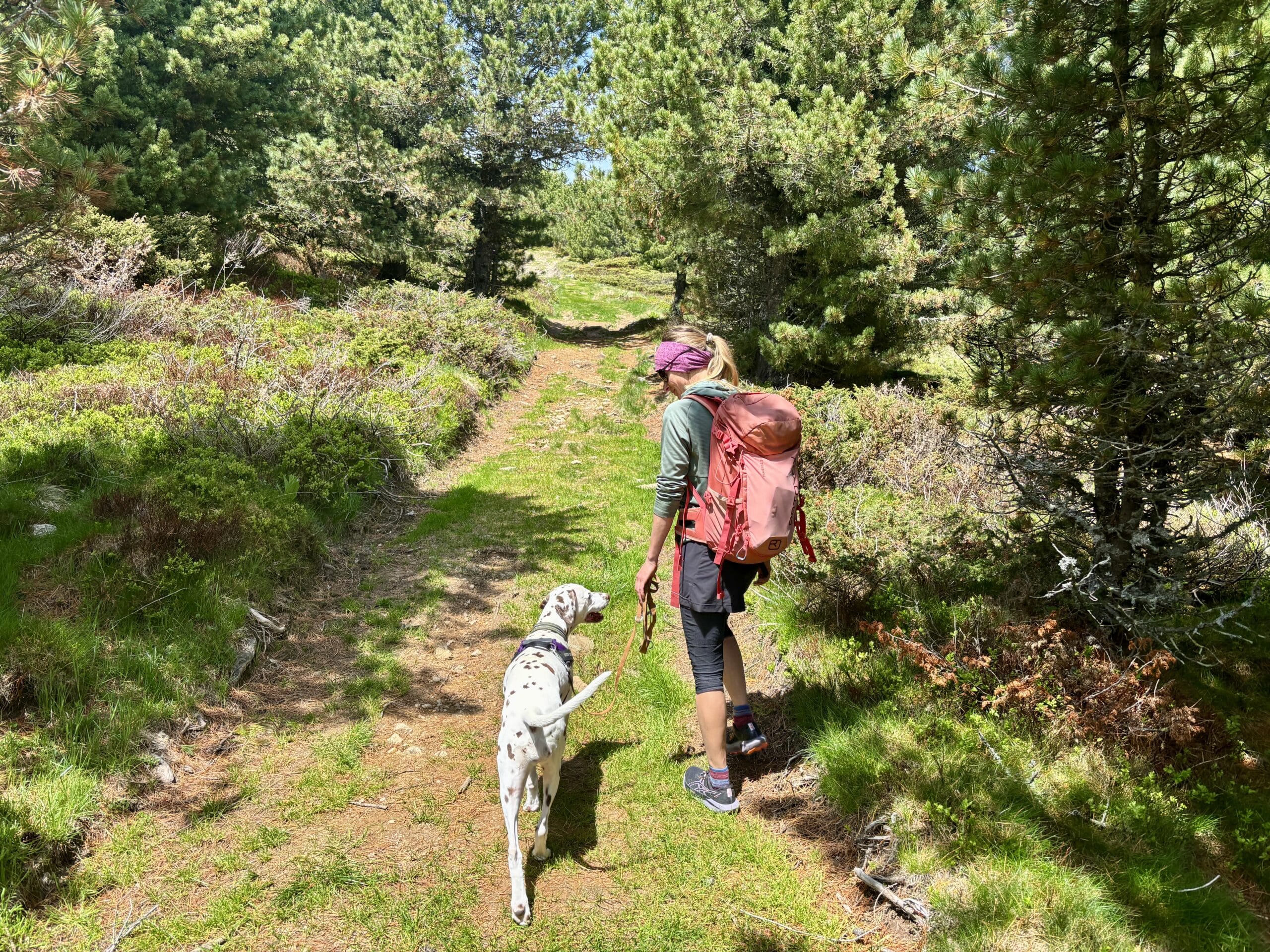 Frau wandert mit Hund von Sabathyalm zur Winterleiten