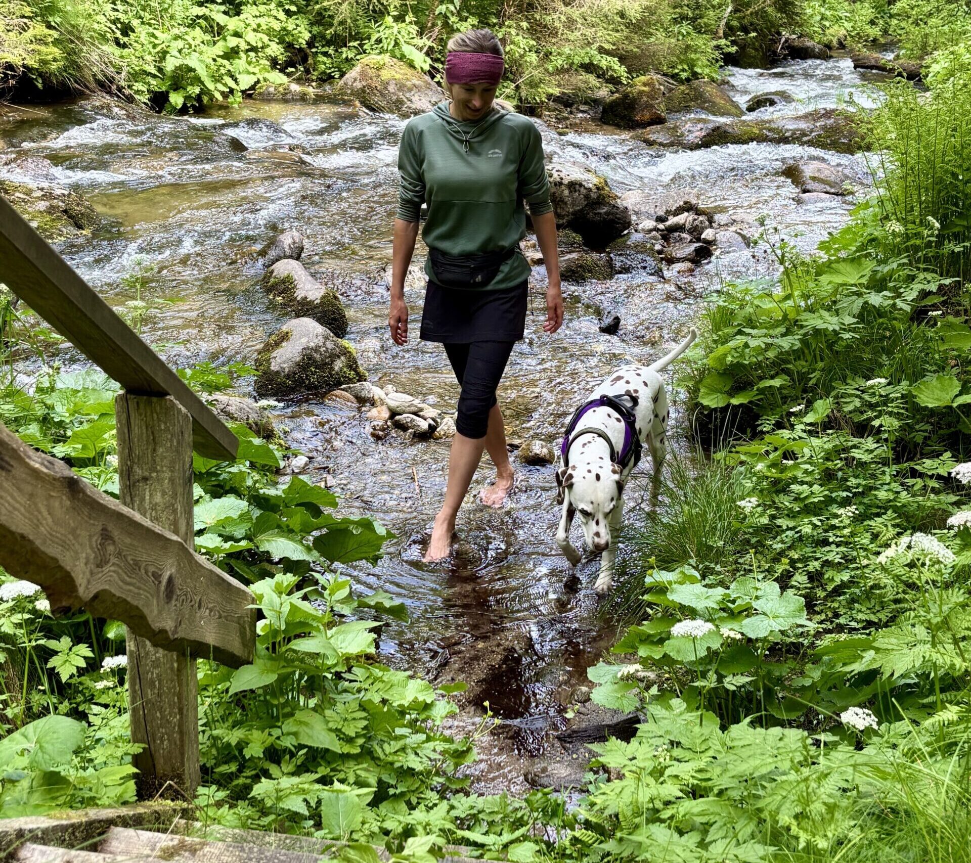 Granitzenbach Murtal Ausflug mit Hund