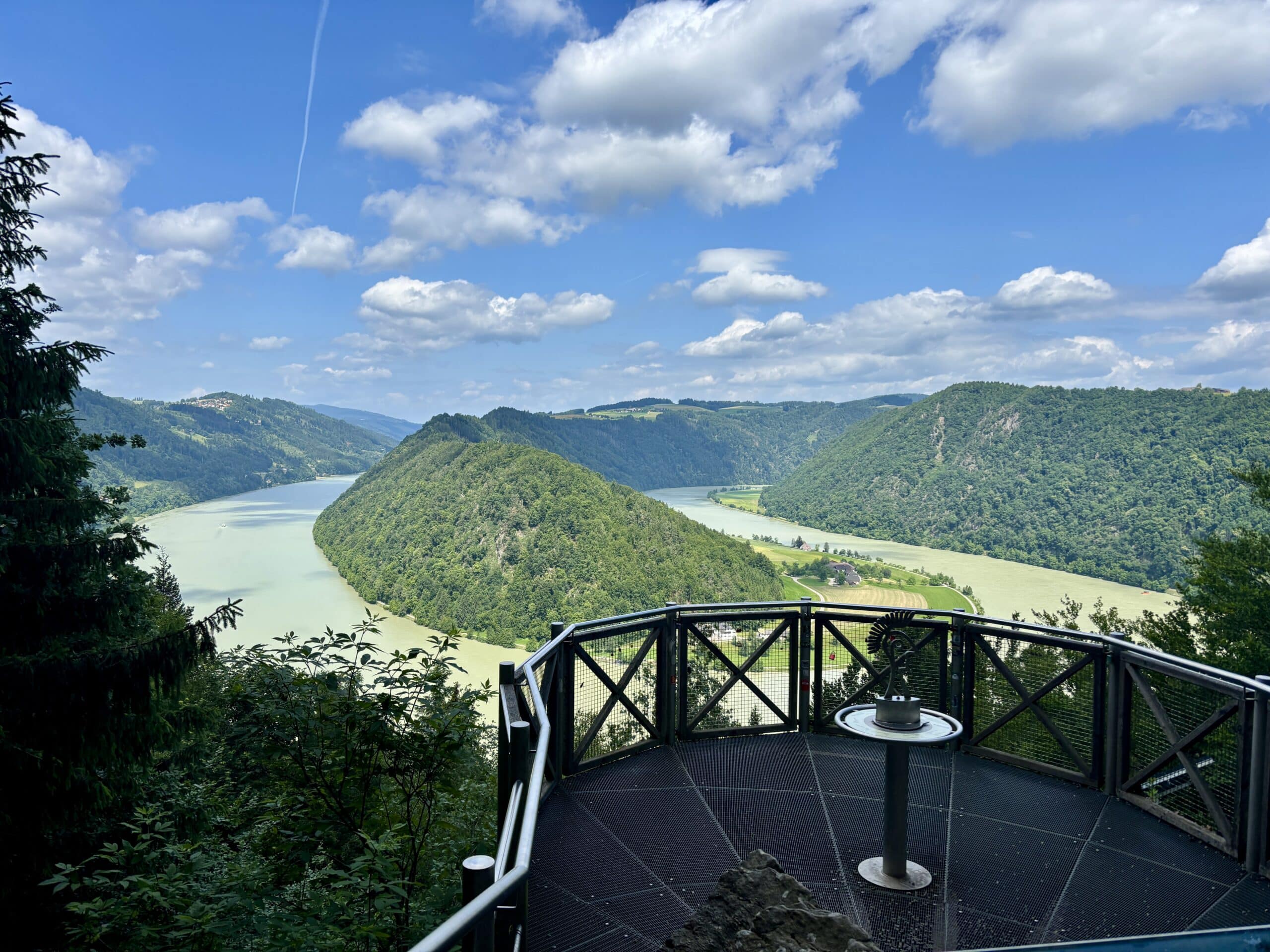 Schlögener Blick auf Donauschlinge