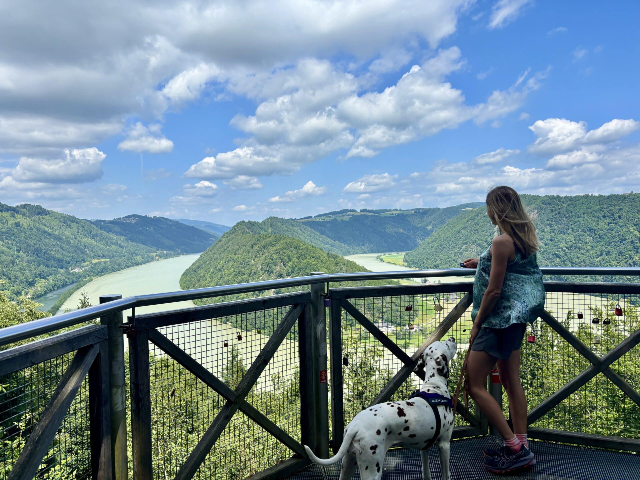 Frau mit Hund steht am Schlögener Blick