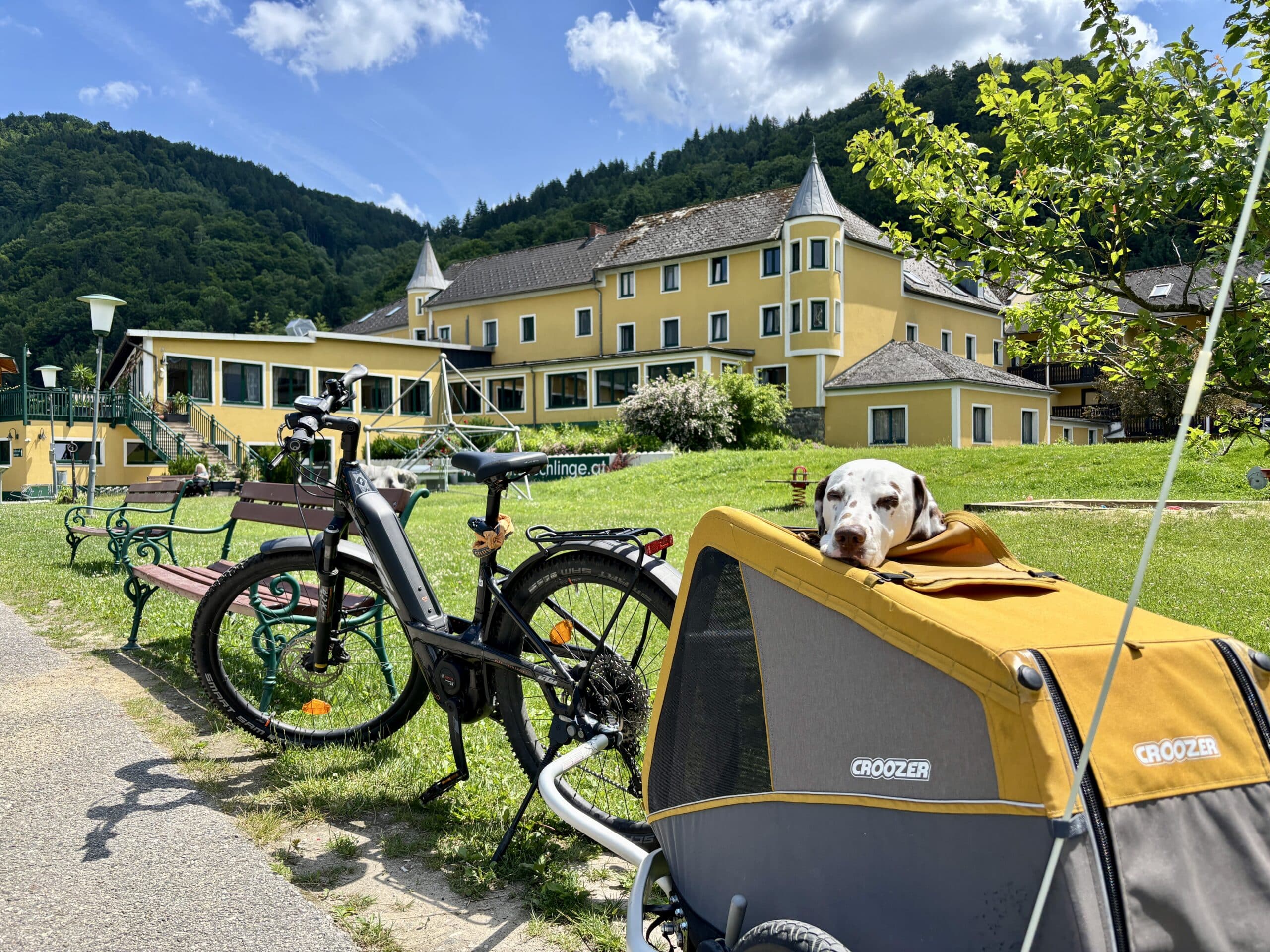 Radweg vor Riverresort Donauschlinge; Fahrrad mit Hundeanhänger und Hund