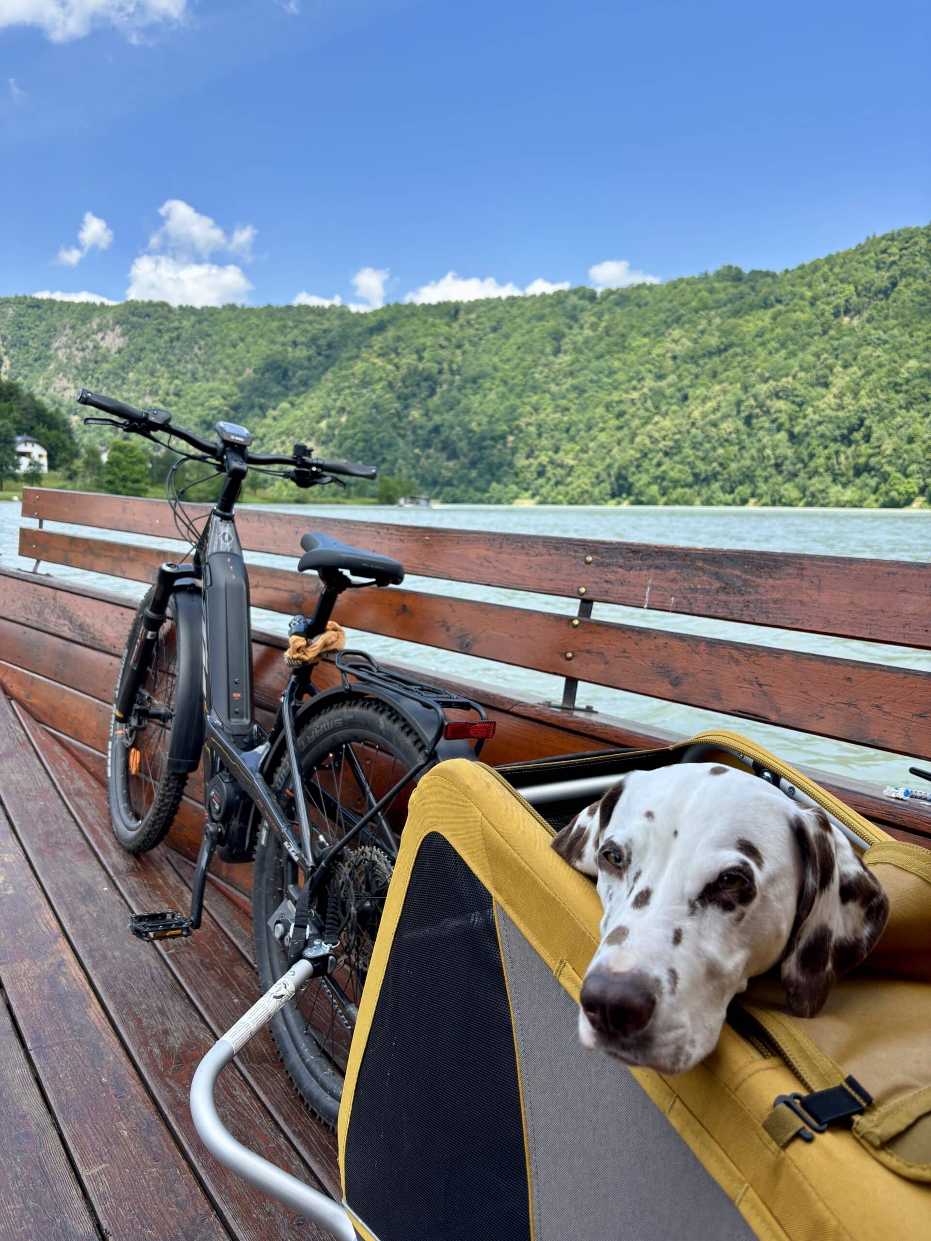 Fahrrad mit Hund im Hundeanhänger auf der Radfähre in der Schlögener Schlinge