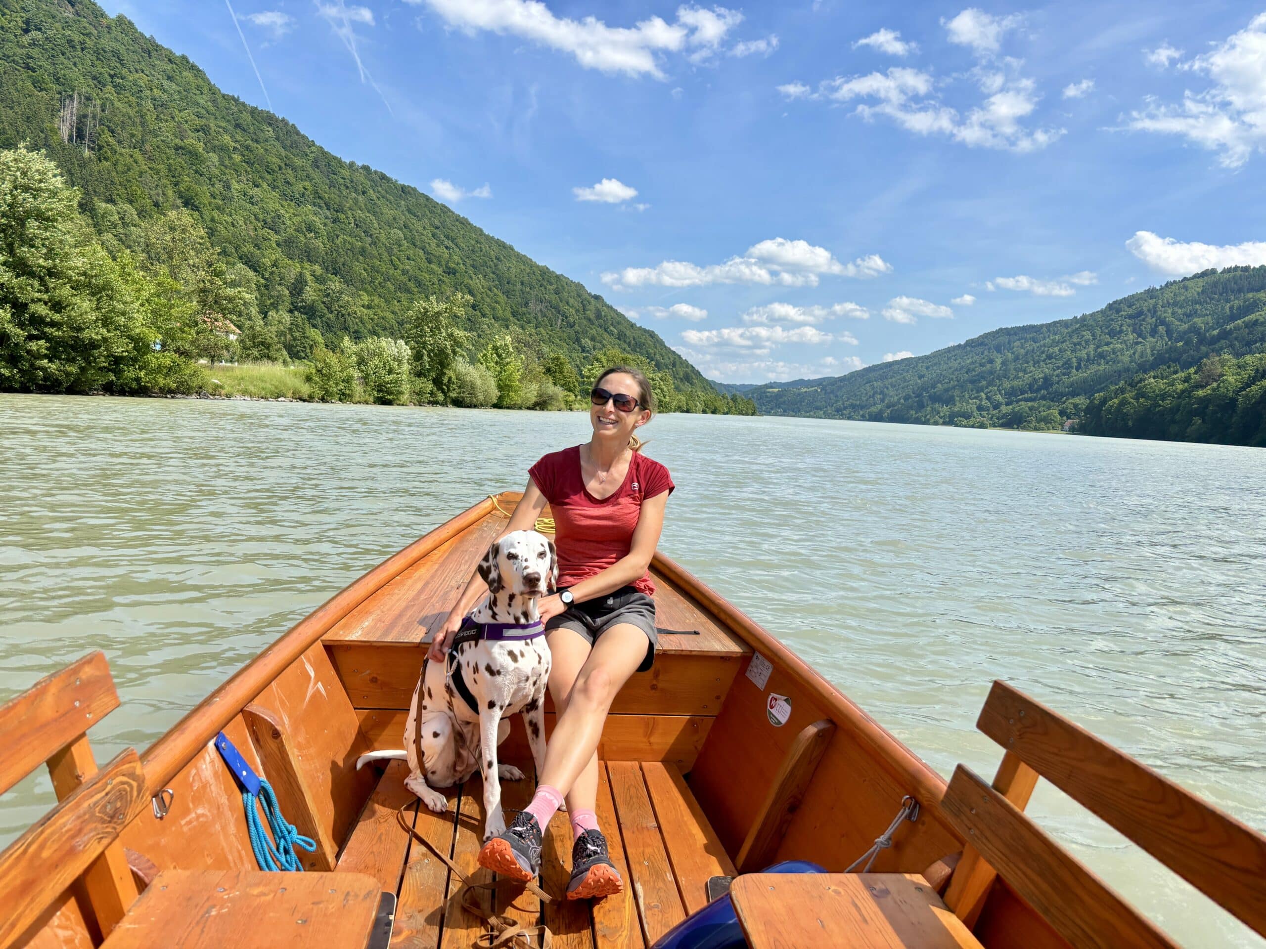 Zillenfahrt mit Hund auf der Donau Schögener Schlinge