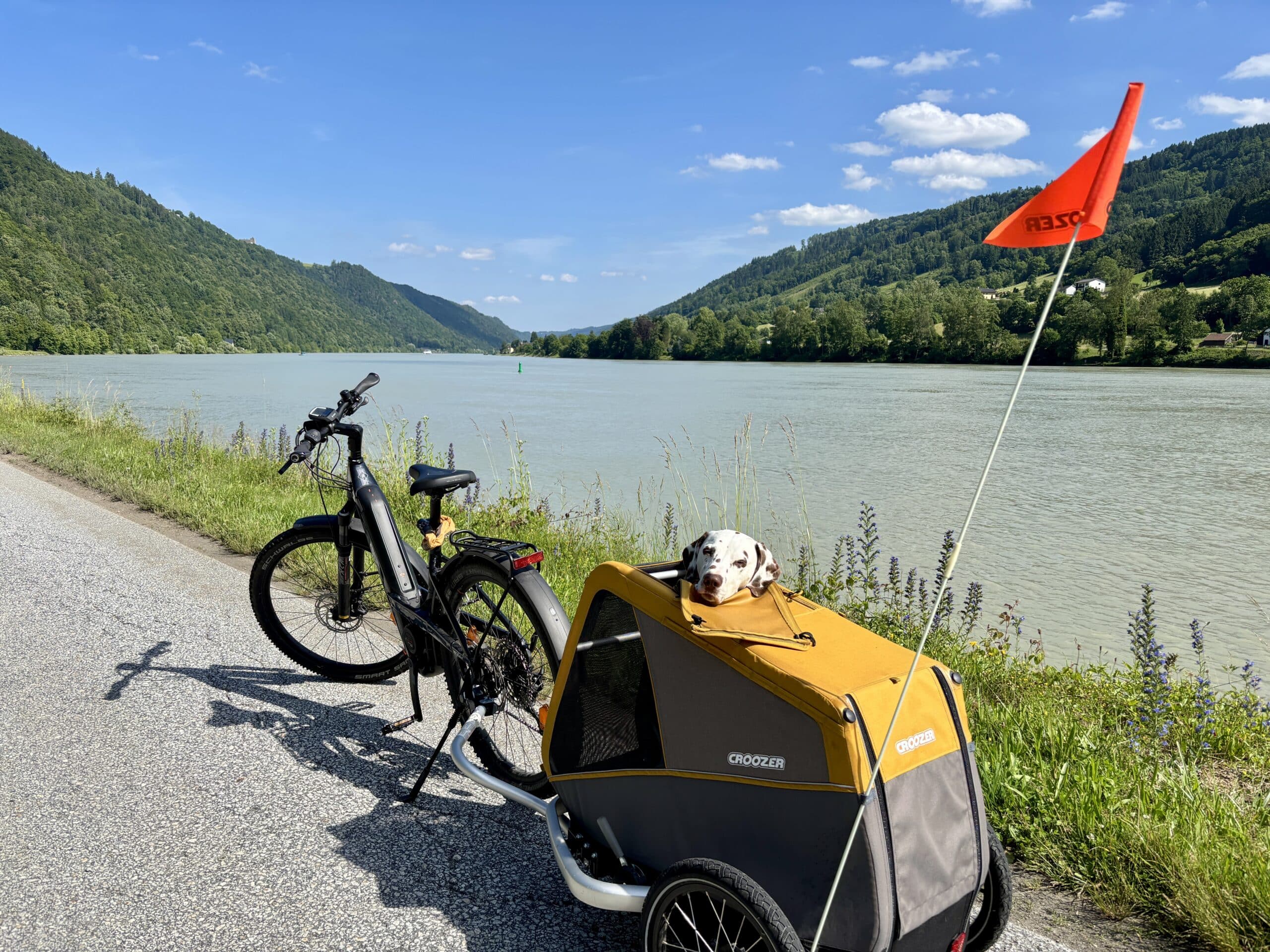 Fahrrad mit Hund im Hundeanhänger am Donauradweg