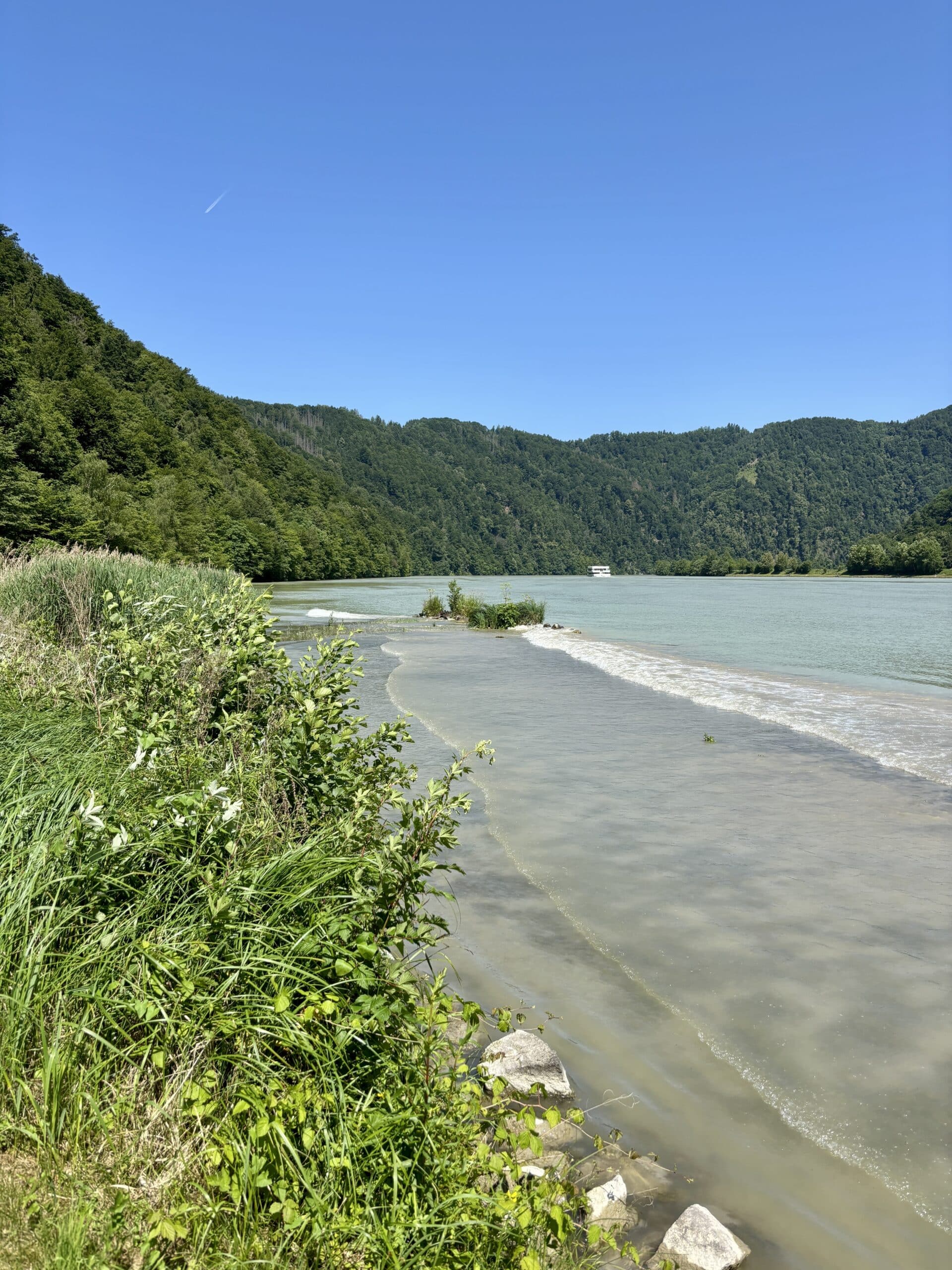 Ufer an der Donau, Schotterbank, Schlögener Schlinge