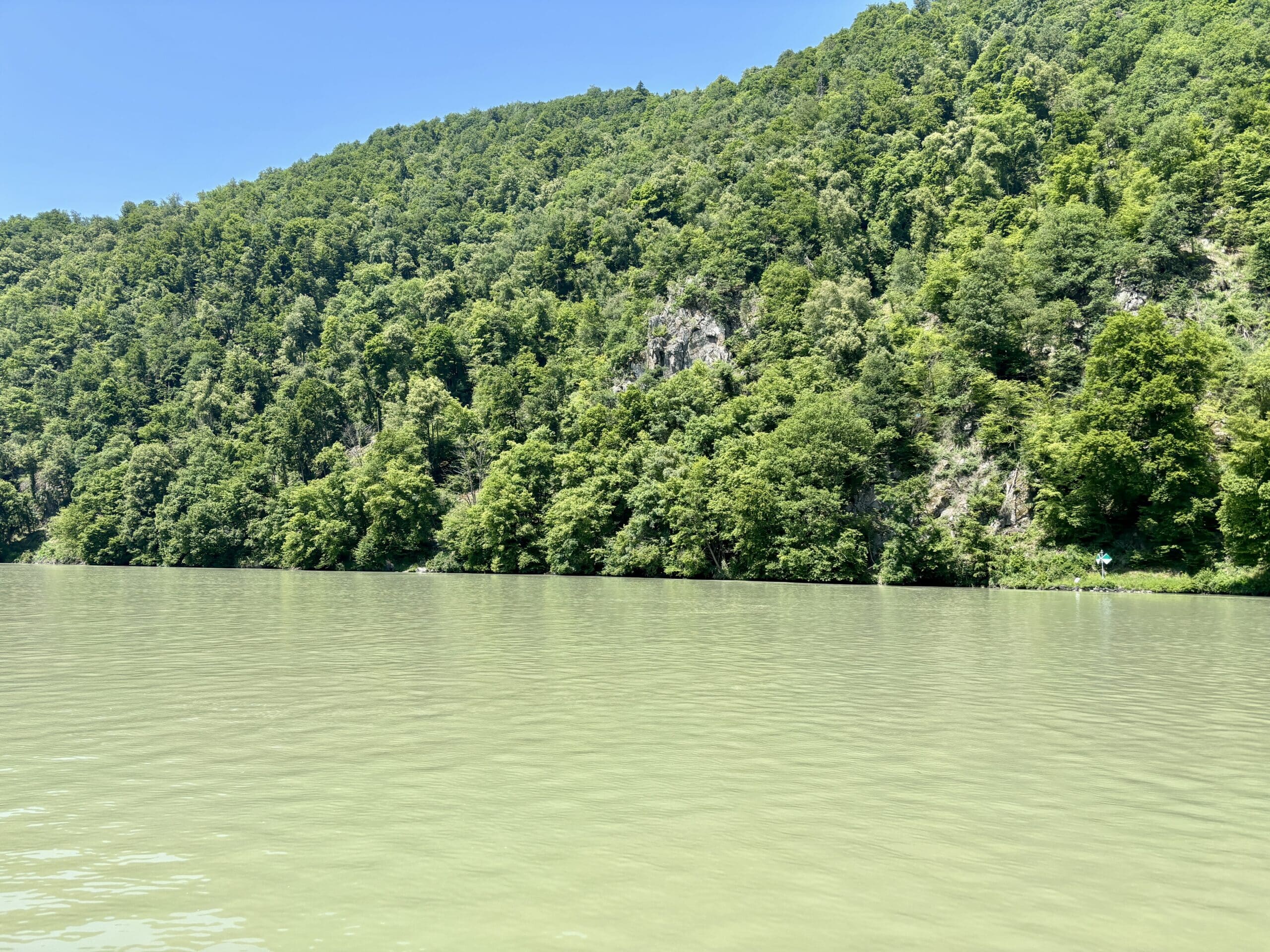 Hang-und Schluchtwald in der Donauschlinge