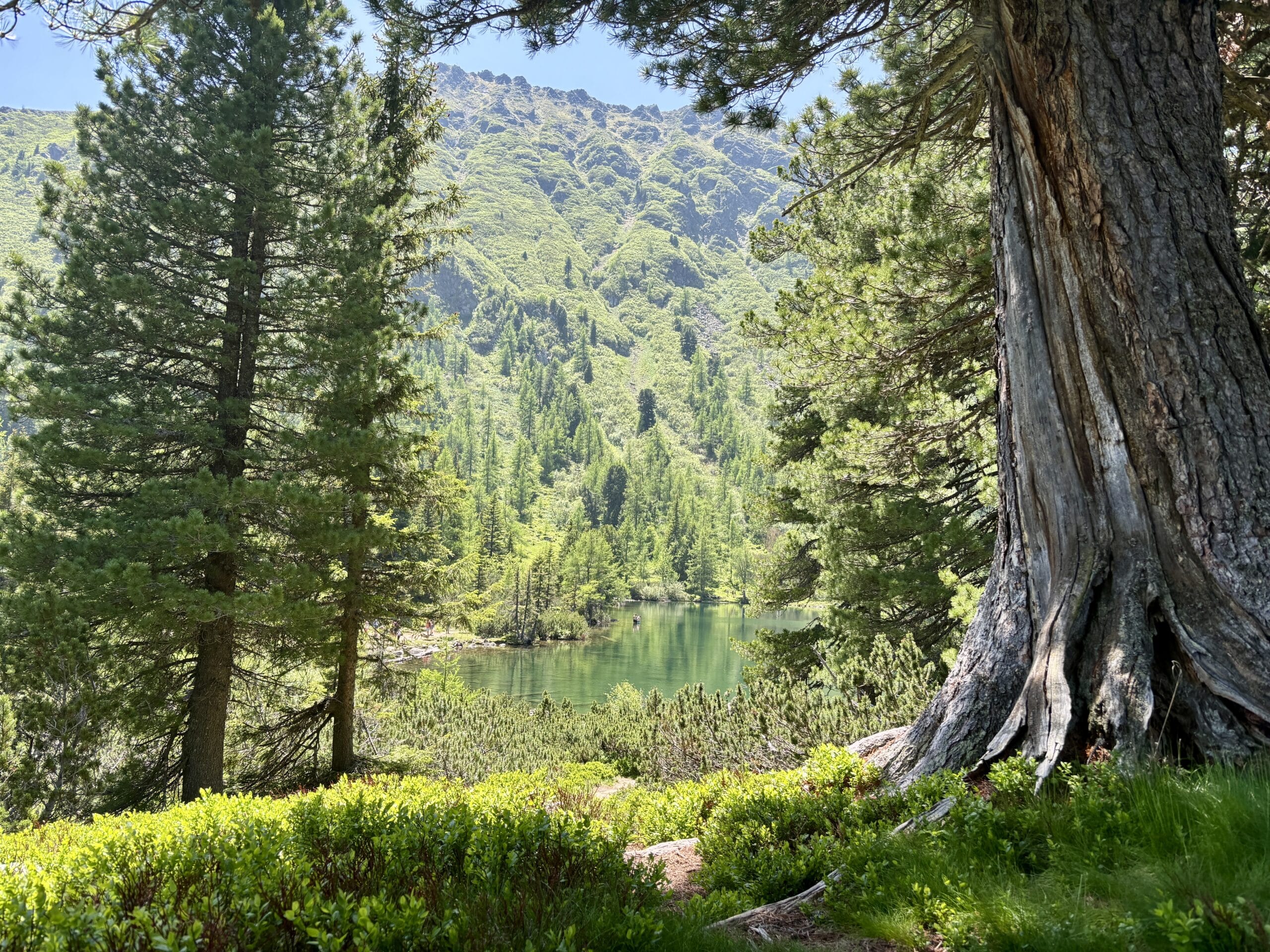 Großer Scheibelsee, Bergsee in Hohentauern