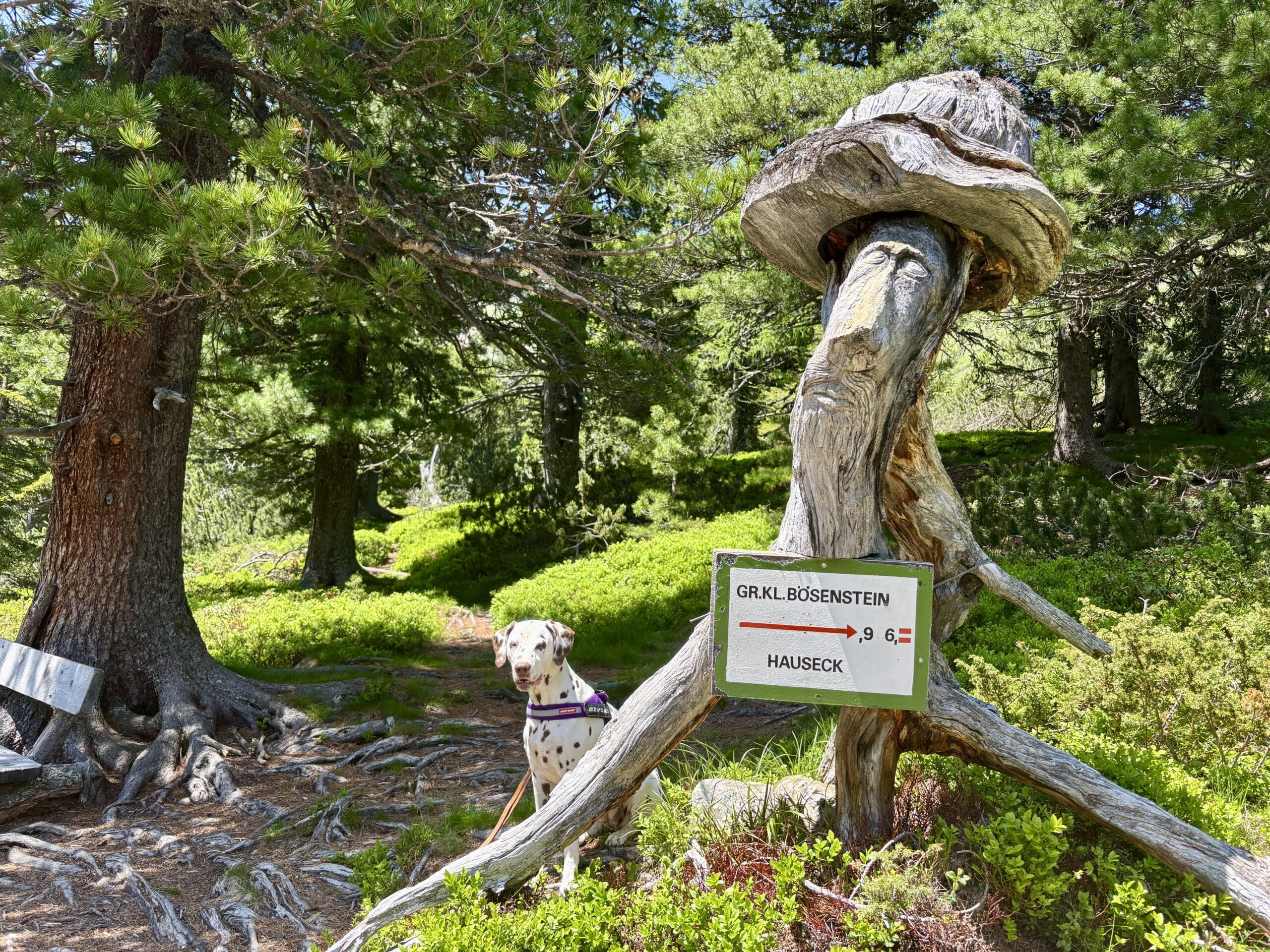 Wanderwegweiser in Hohentauern, Hauseck, Hund