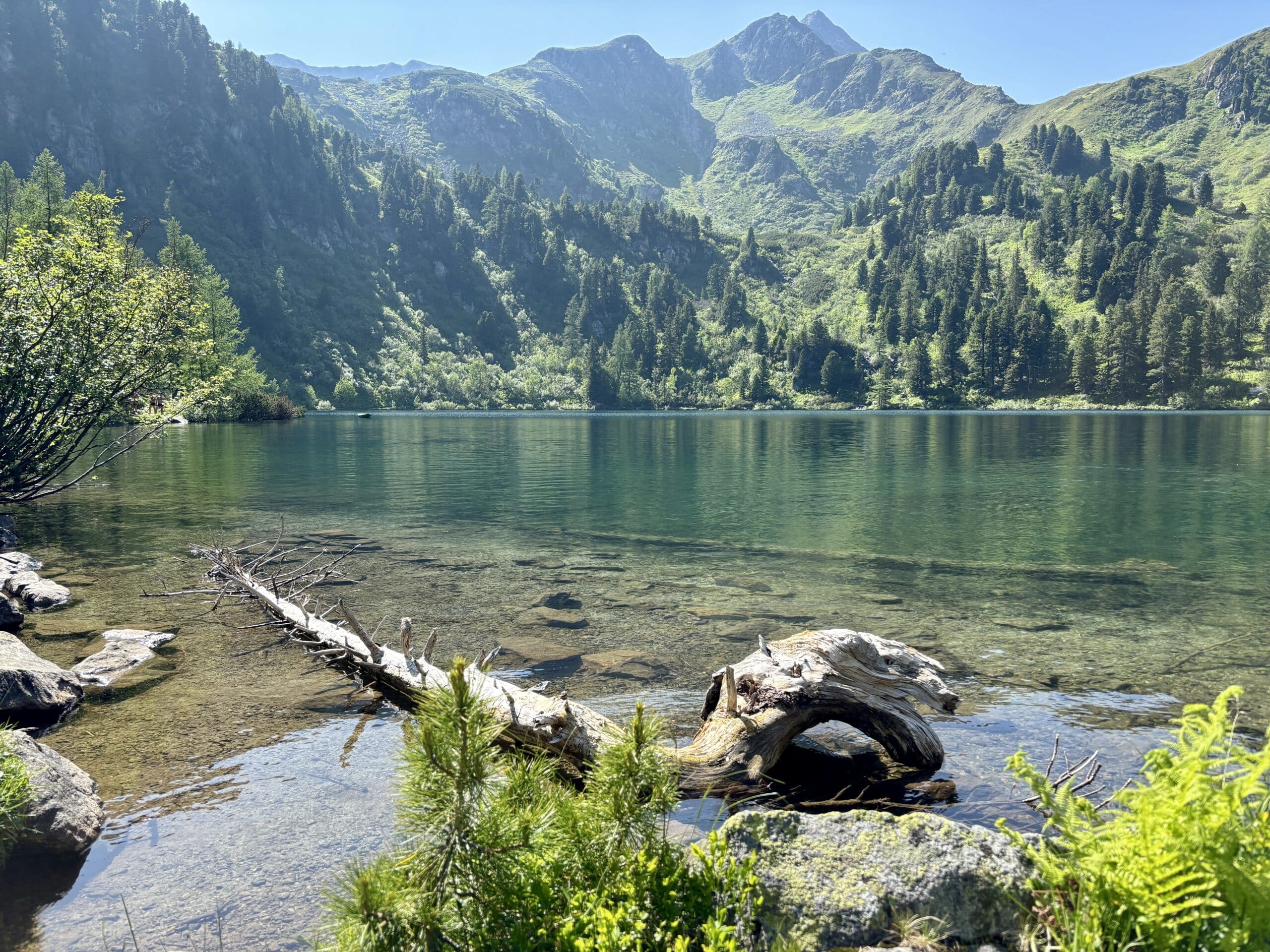 Großer Scheibelsee in Hohentauern Bergsee Steiermark