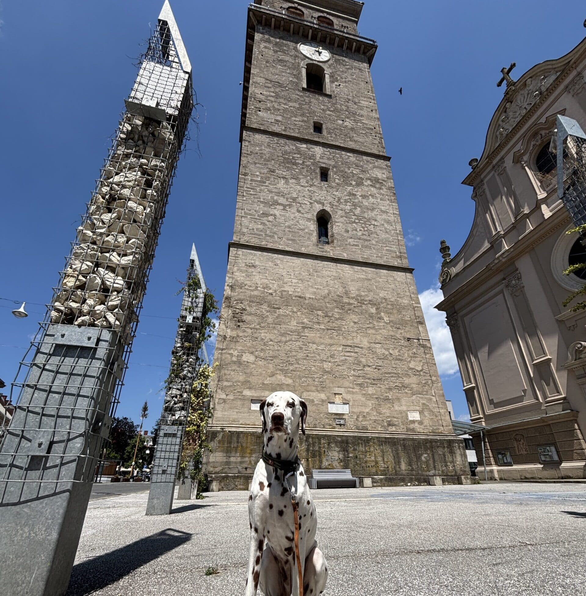 Hund sitzt vor Stadtturm Judenburg, Sternenturm Planetarium
