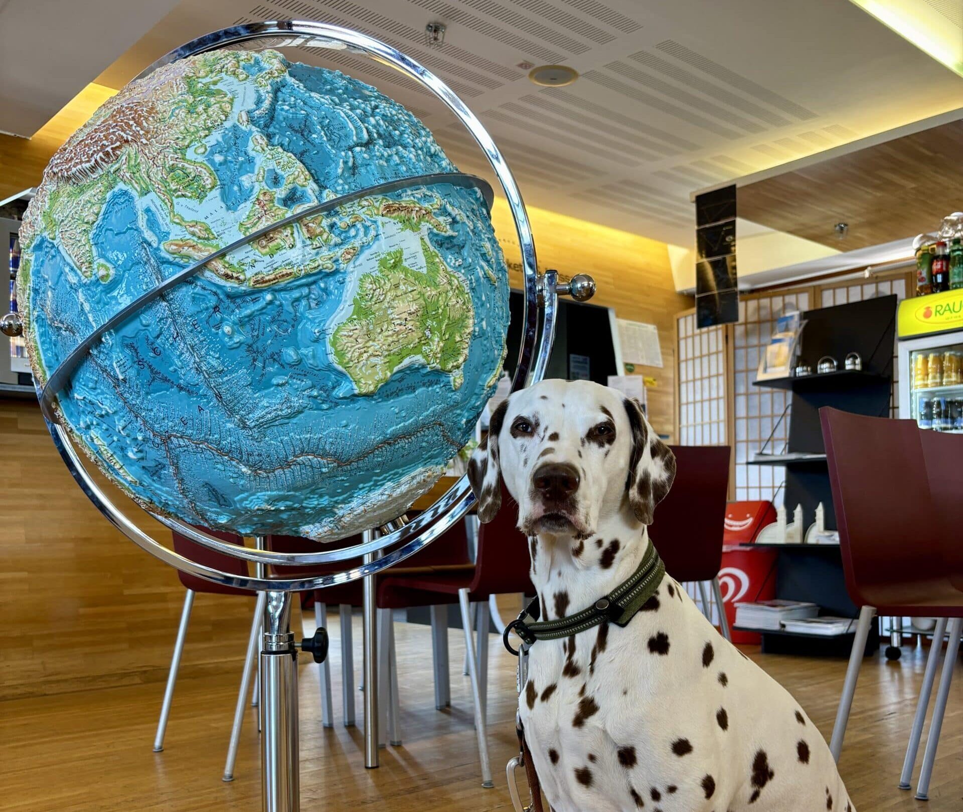 Cafe im Sternenturm Jundenburg mit Hund