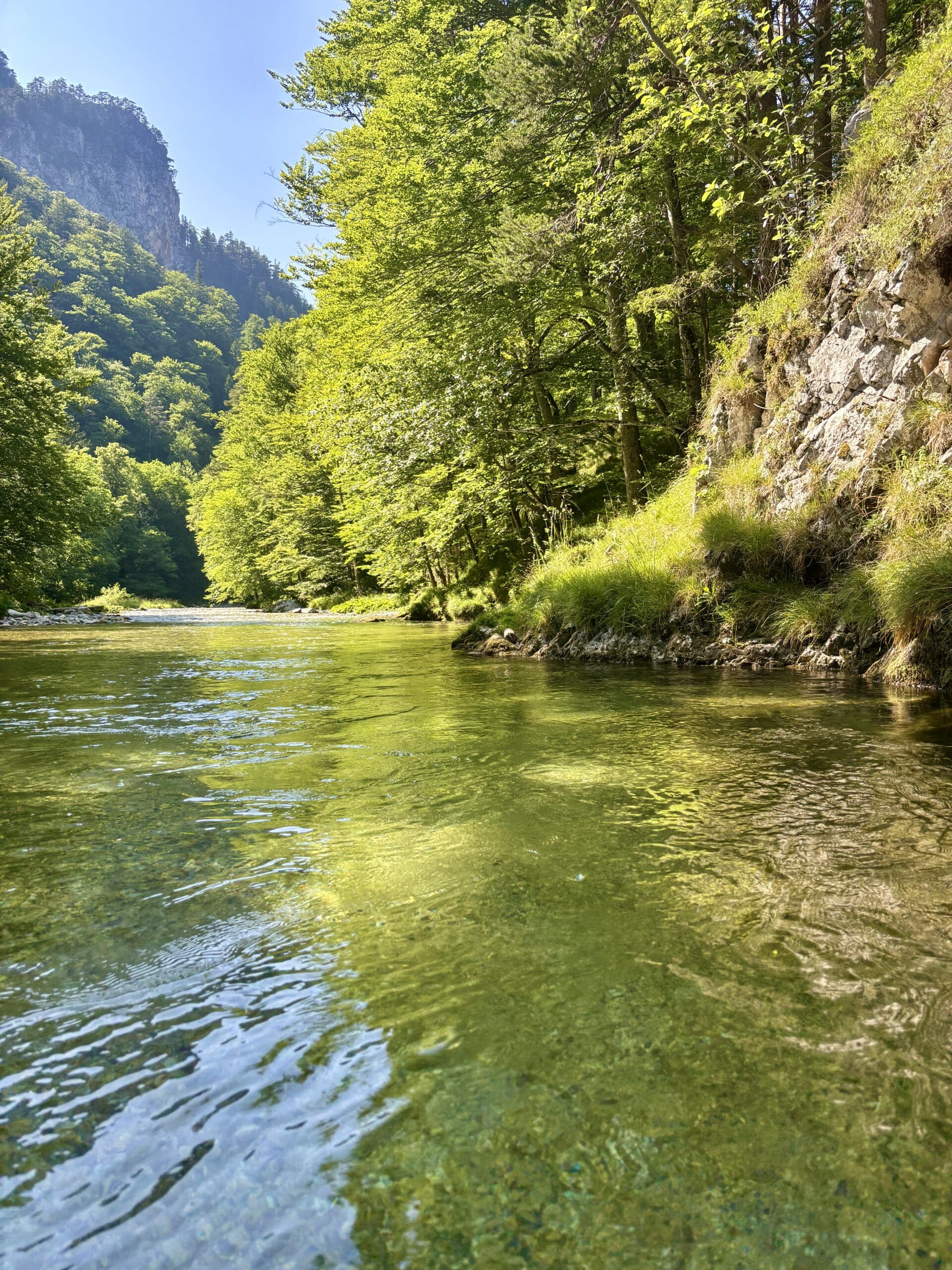 Schwarza Gebirgsfluss im Höllental