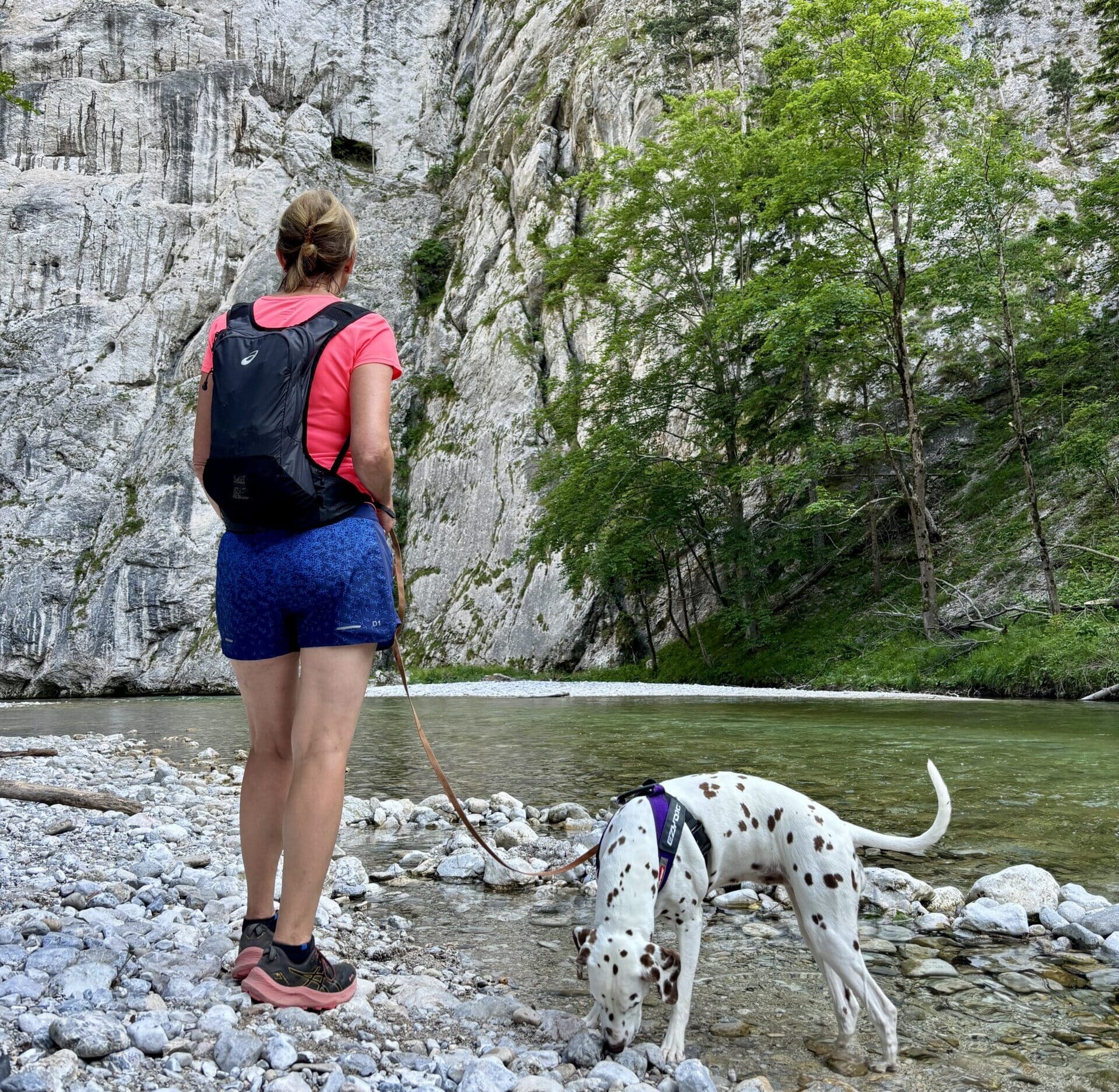 Wandern mit Hund am 1. Wiener Wasserleitungsweg