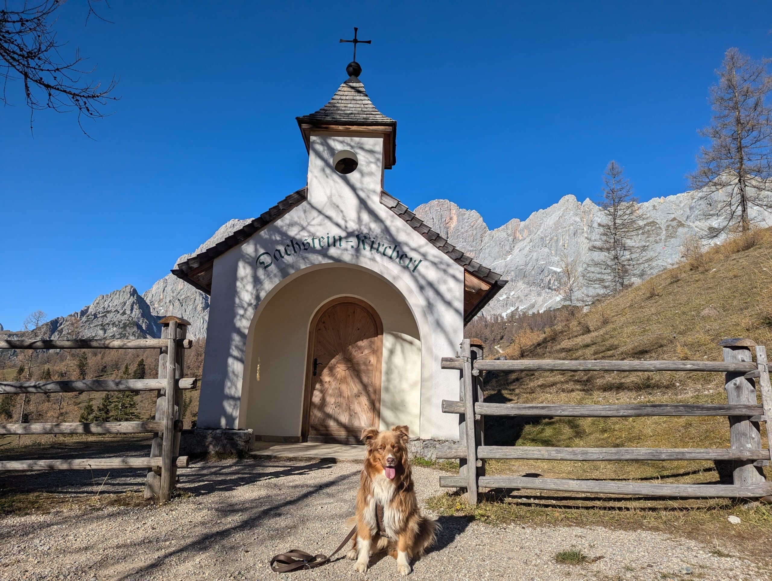 Almspaziergang mit Hund in Ramsau am Dachstein; Dachsteinkircherl; Hund sitzt vor Dachsteinkircherl
