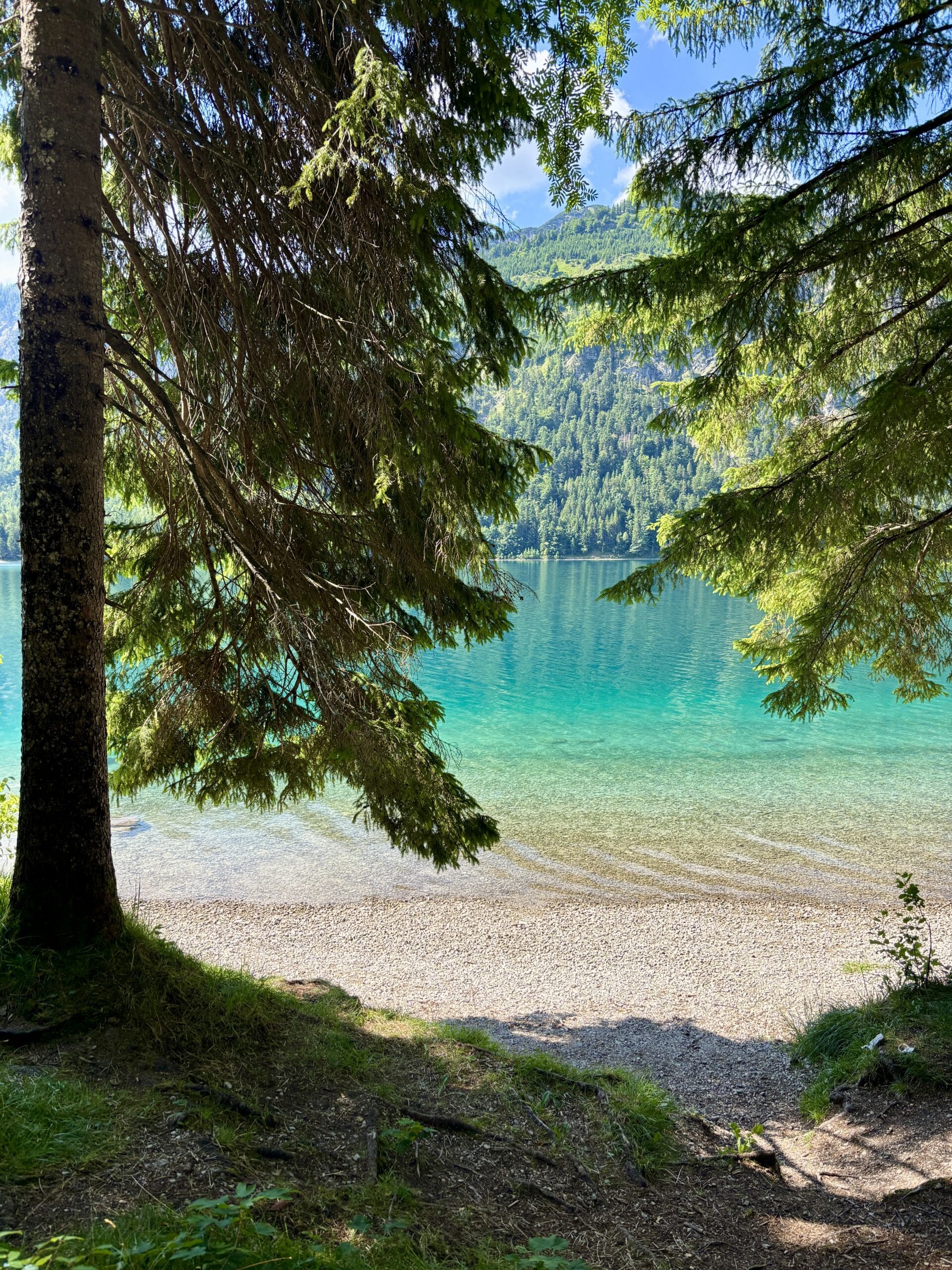 Plansee Tirol Ufer Hundestrand