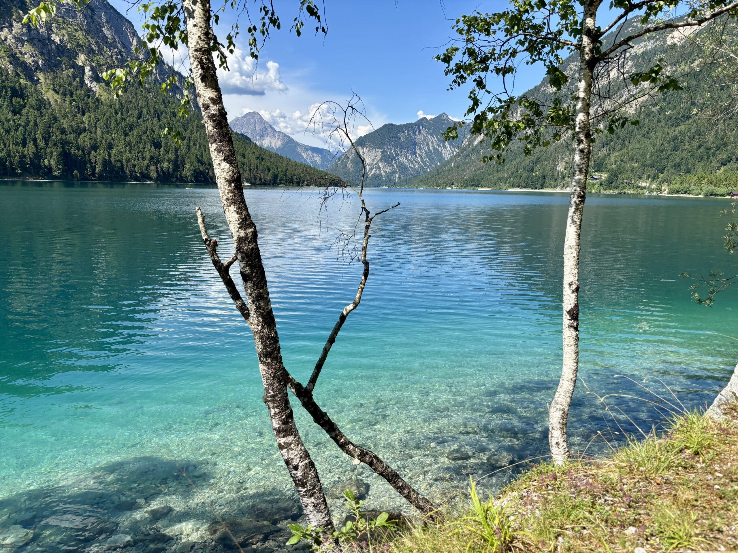 Plansee Tirol Ufer Hundestrand