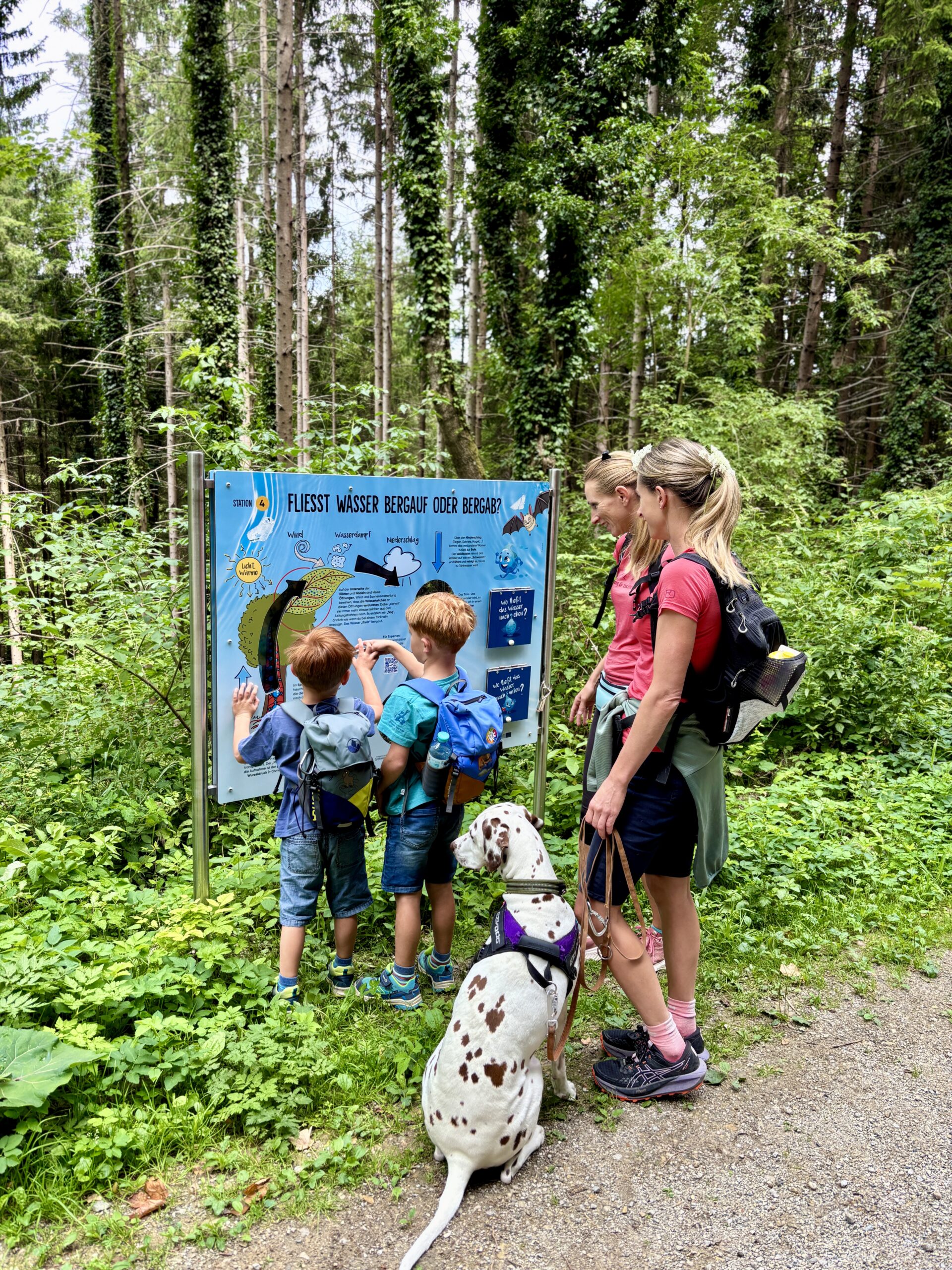 Erlebnispfad Rein in den Wald; Rein bei Graz; Hund und Familie vor Infotafel
