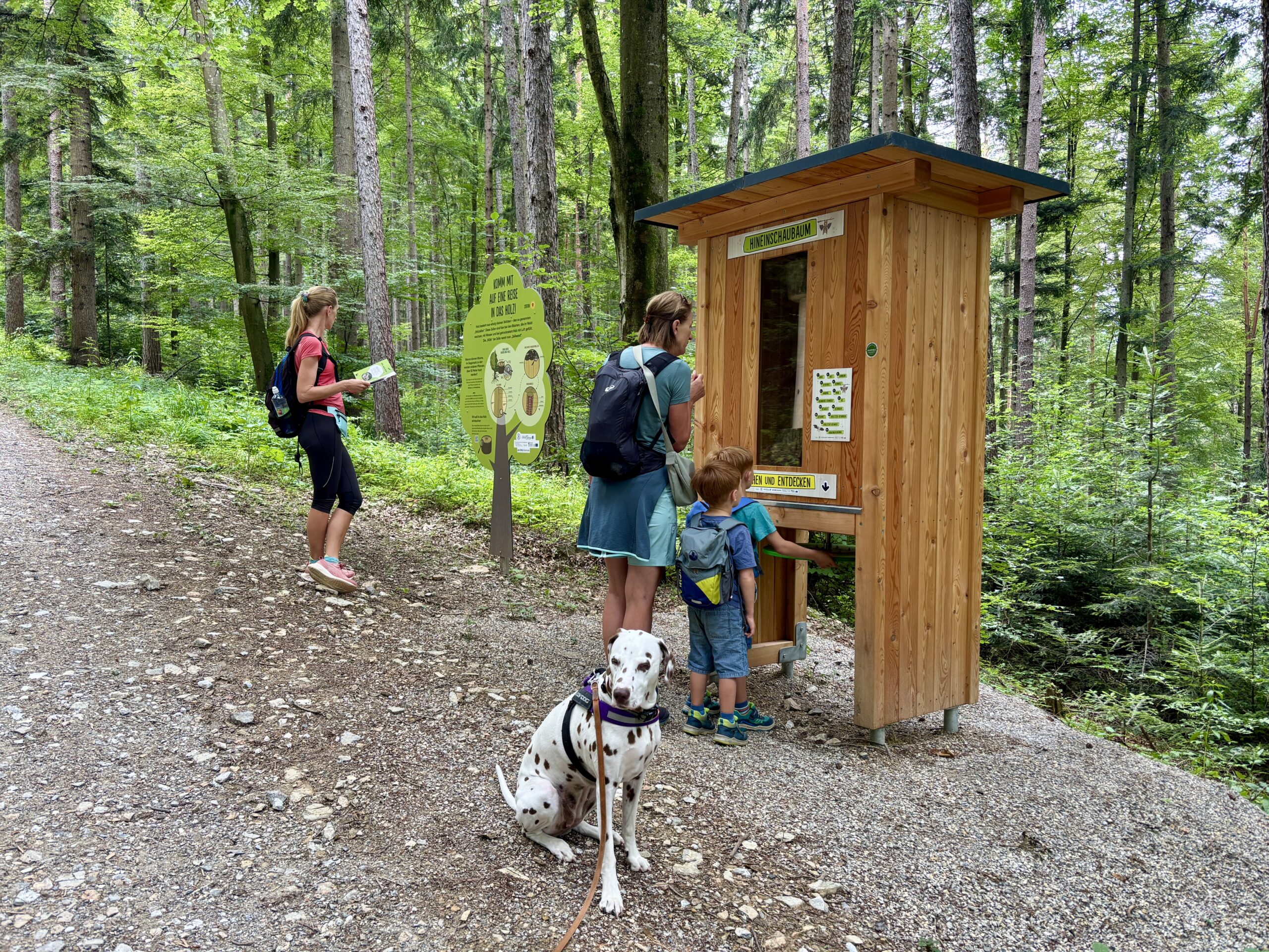 Erlebnispfad Rein in den Wald; Rein bei Graz; Hund und Familie vor Infotafel