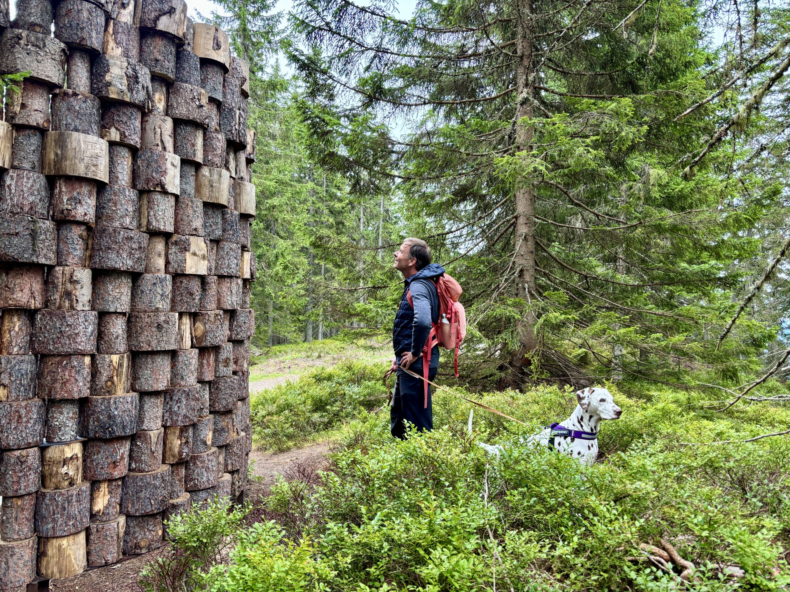 Mann wandert mit Hund im Wald am Rittisberg
