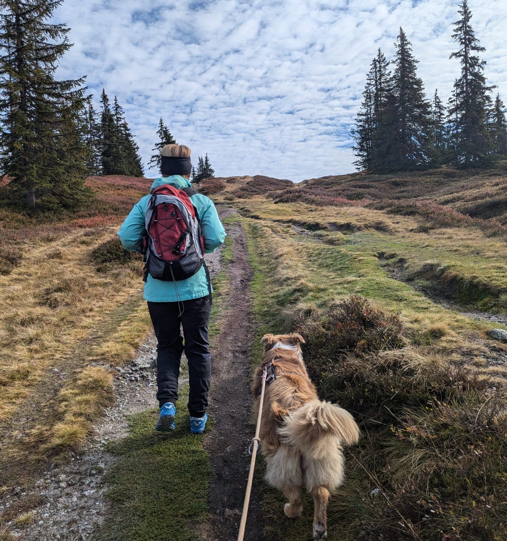 Wandern mit Hund Rittisberg in Ramsau am Dachstein; Frau wandert mit Hund