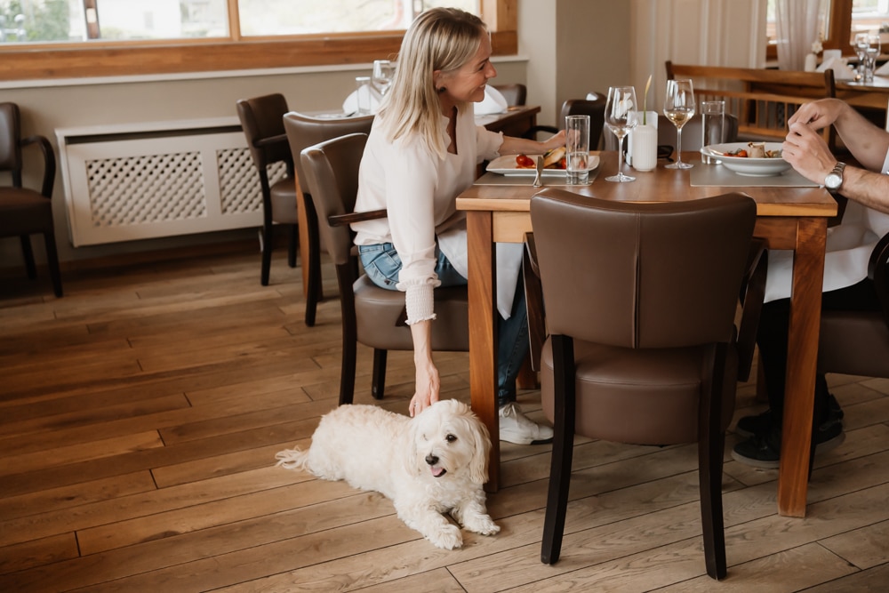 das Eisenberg, Restaurant, Hund liegt am Boden beim Abendessen
