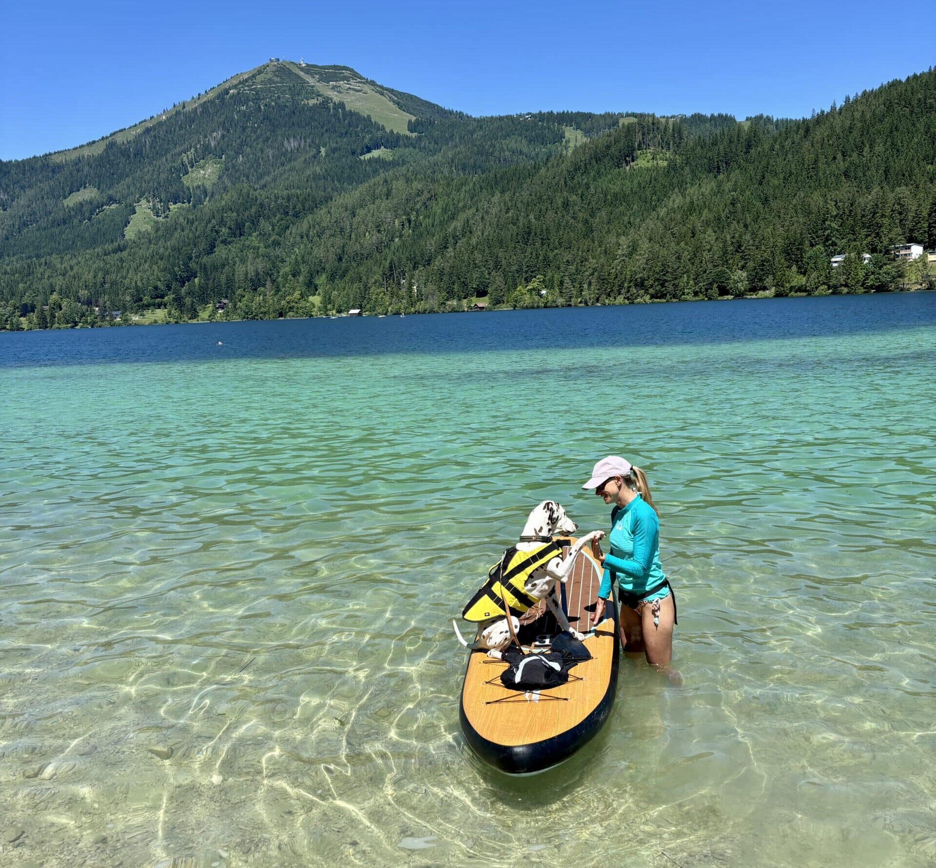 SUP mit Hund am Erlaufsee; Hund sitzt auf Stand Up Paddle am Erlaufsee
