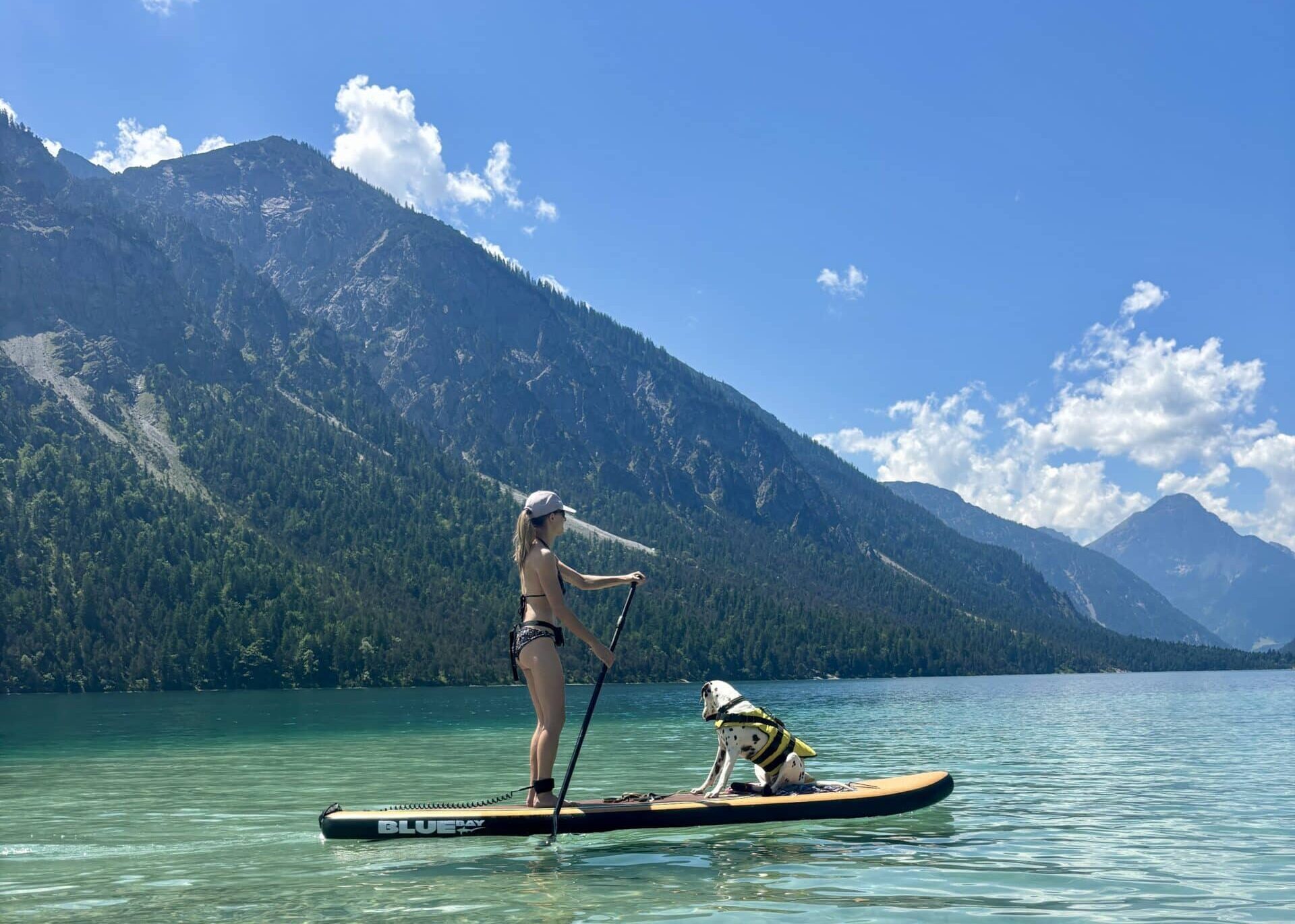 SUP mit Hund; Frau und Hund am Stand Up Paddle