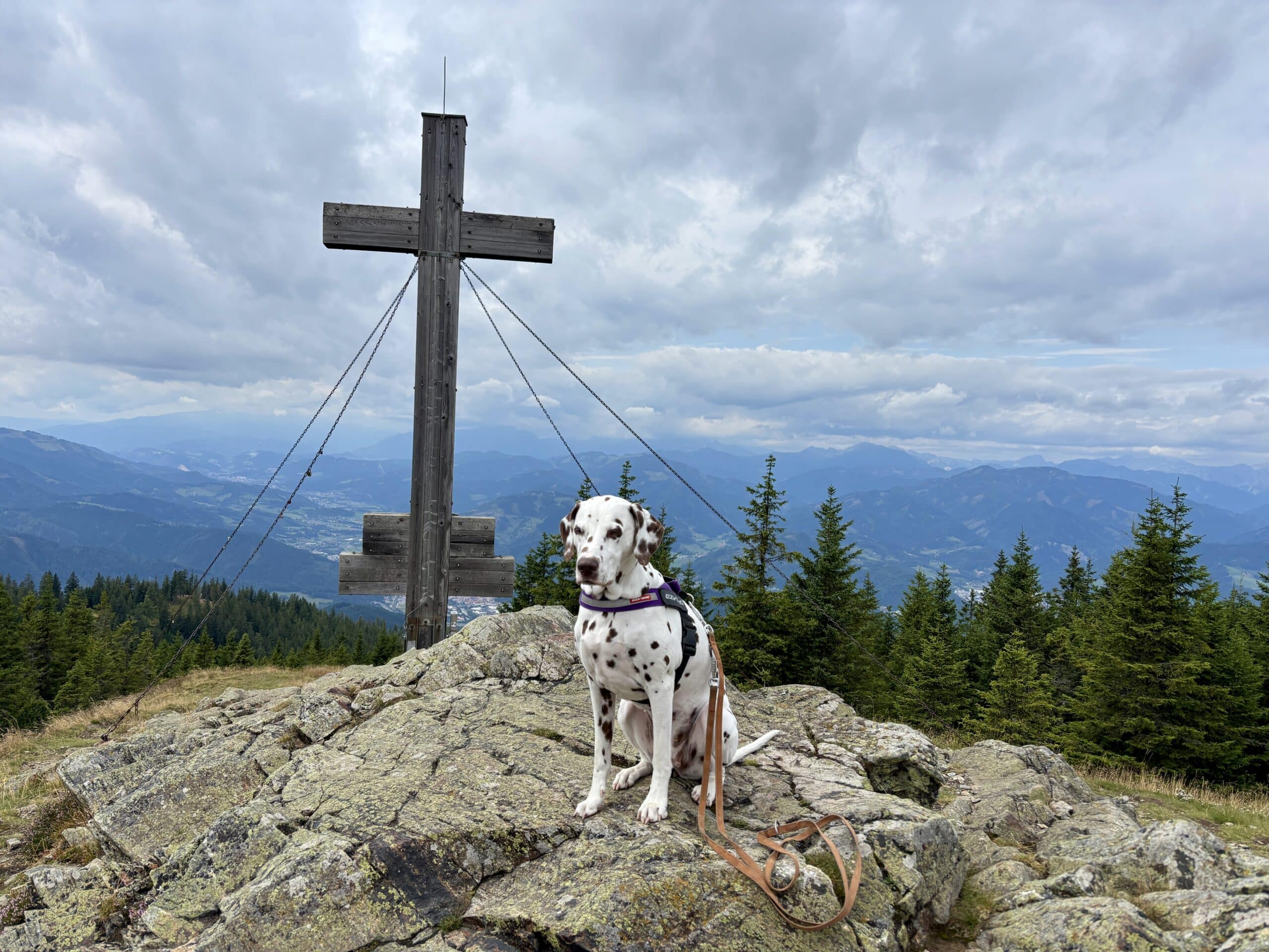 Hund sitzt bei Gipfelkreuz am Rennfeld