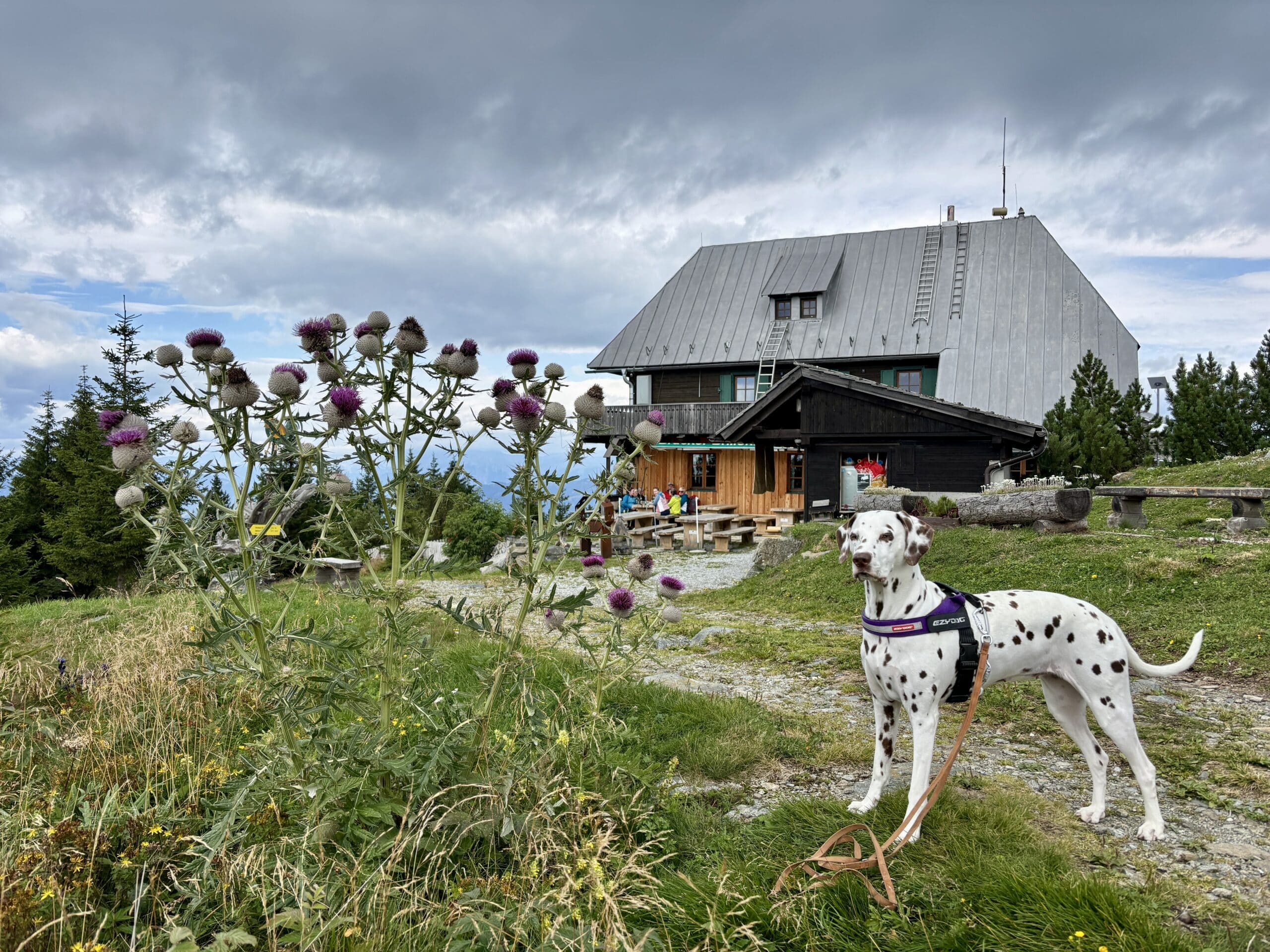 Hund steht vor Ottokar-Kernstock-Haus am Rennfeld
