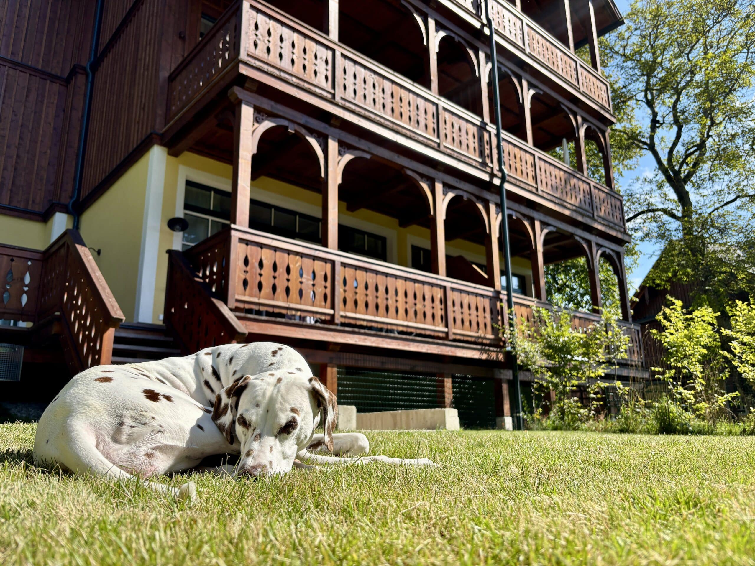 Dachstein Residenz Außenansicht; Landhaus im Ausseer Stil; Hund ligt im Garten; Urlaub mit Hund