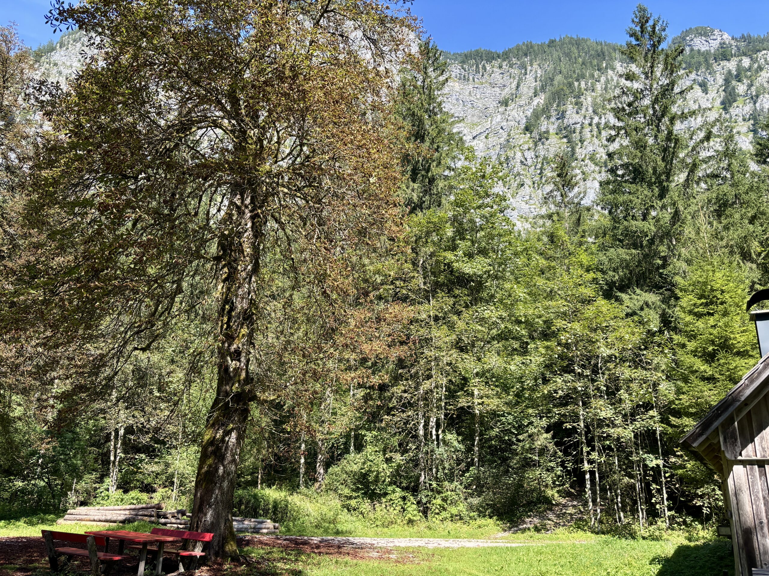 Wandern rund um Koppenwinkelsee; Koppenwinkelalm im Herbst