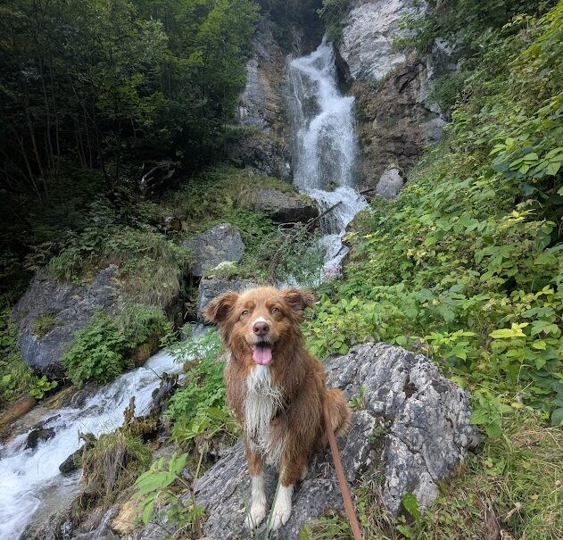 Luserwasserfall Wandern mit Hund, Hund Lotta sitzt vor Luserwasserfall