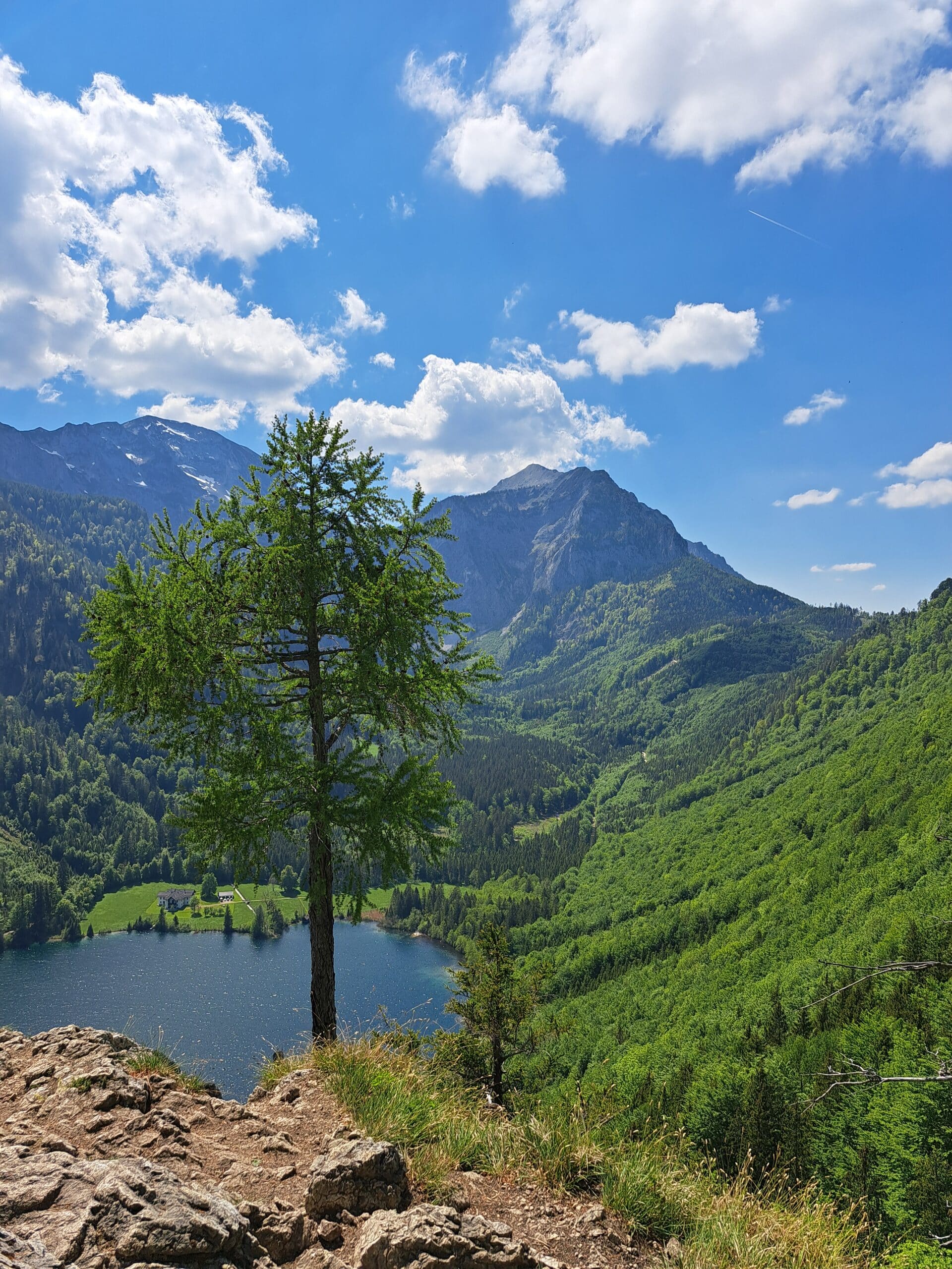 Blick vom Signalkogel auf Langbathsee