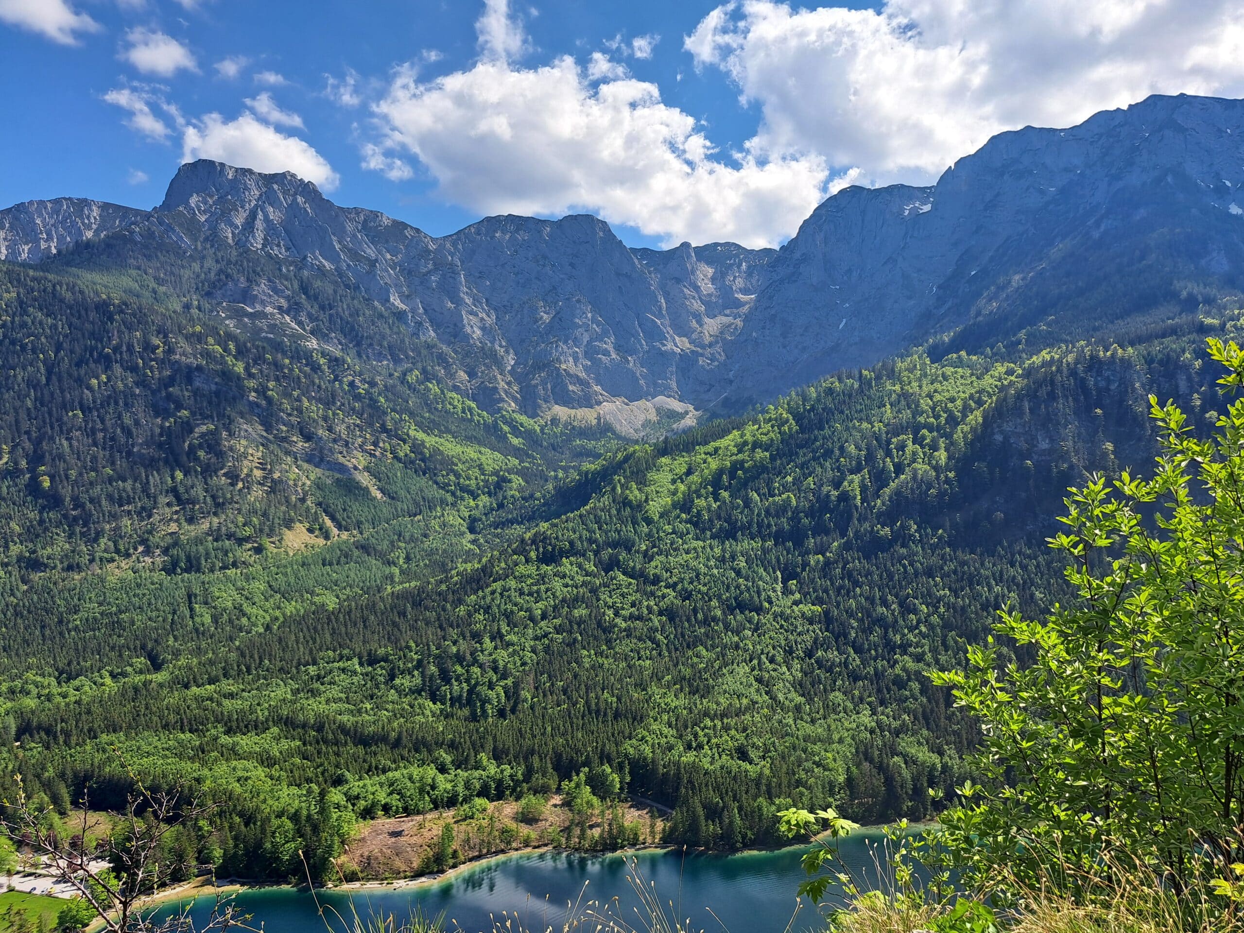 Blick vom Signalkogel auf Langbathsee