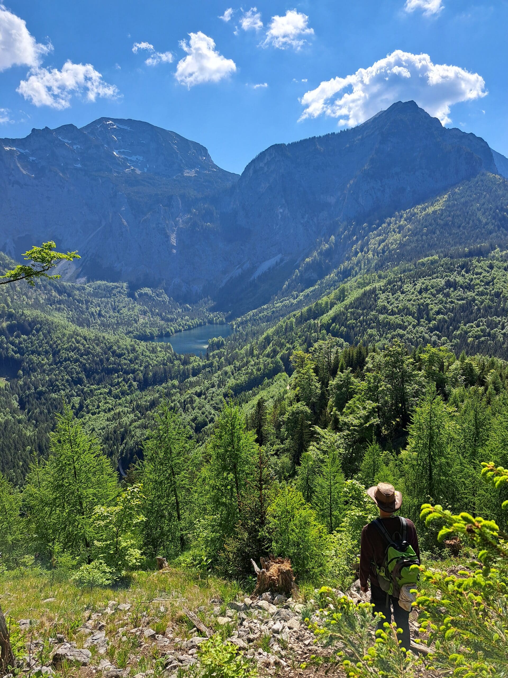 Landschaft rund um Signalkogel in Oberösterreich