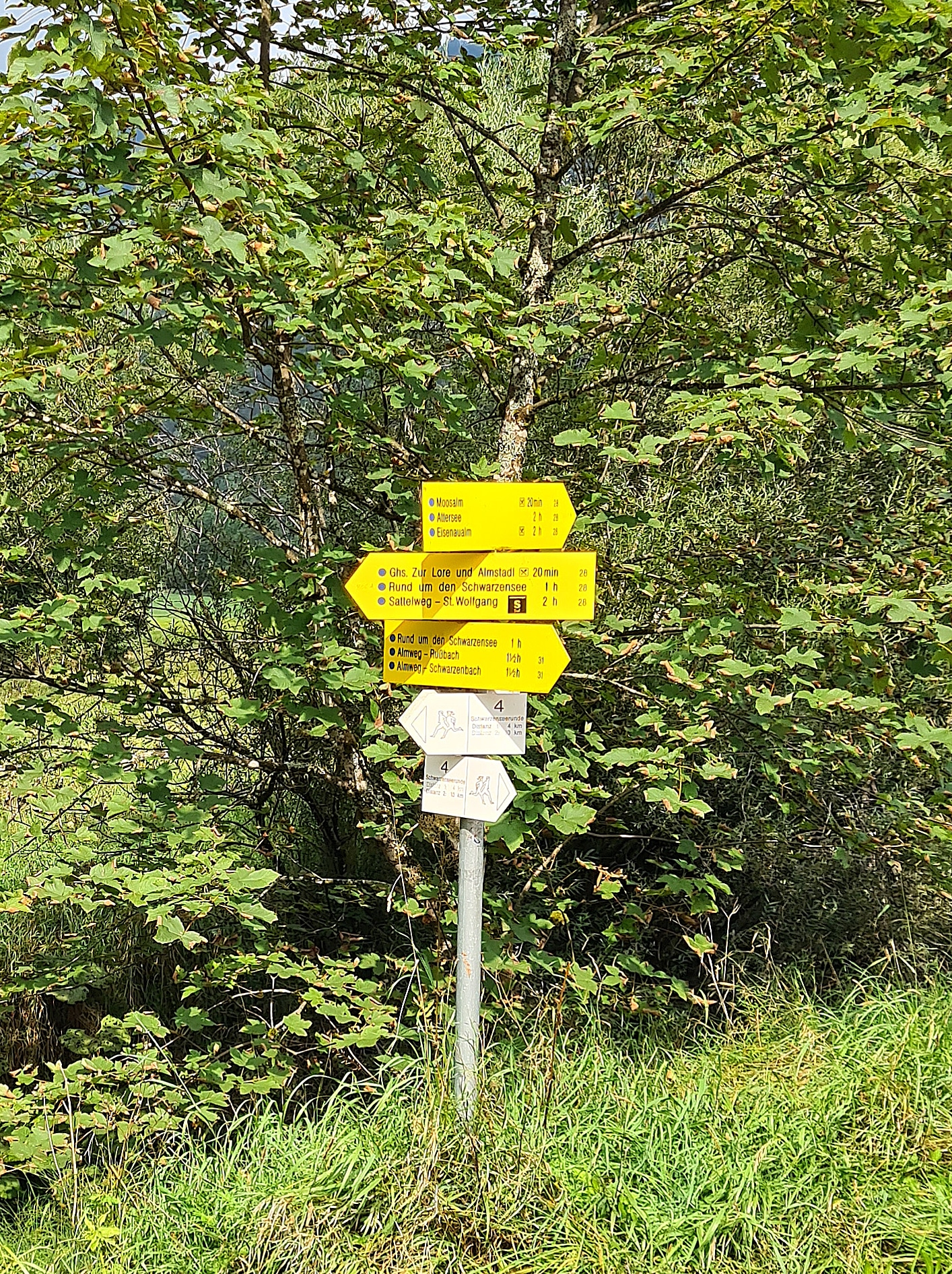 Wanderwegweiser Schwarzensee