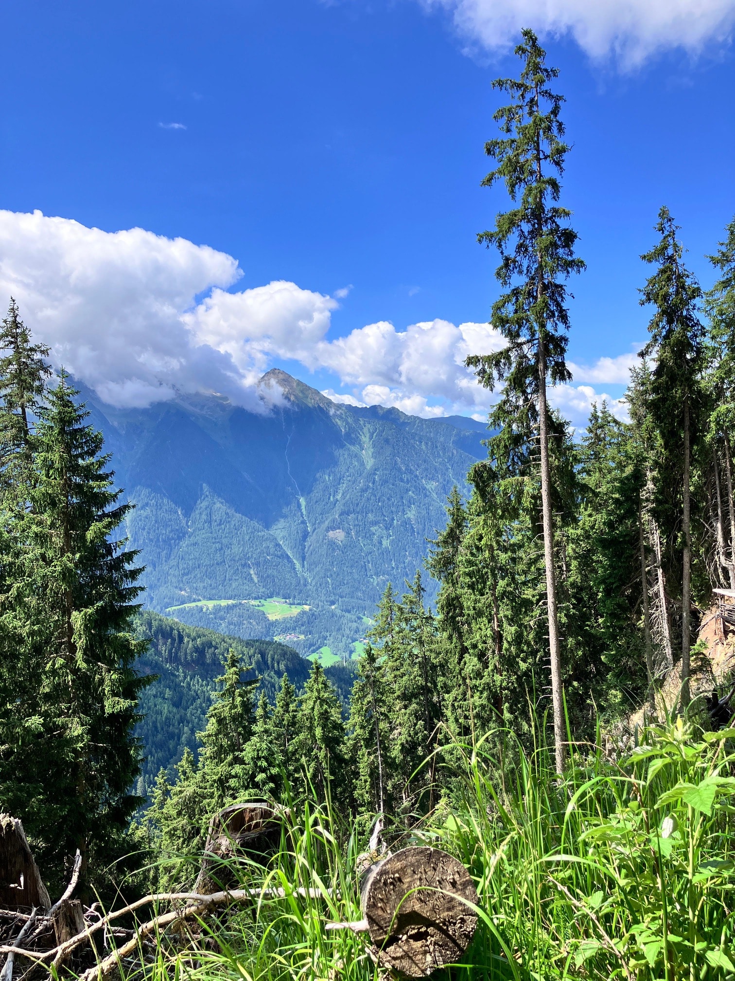 Ausblick Wanderung Brandsee Tirol