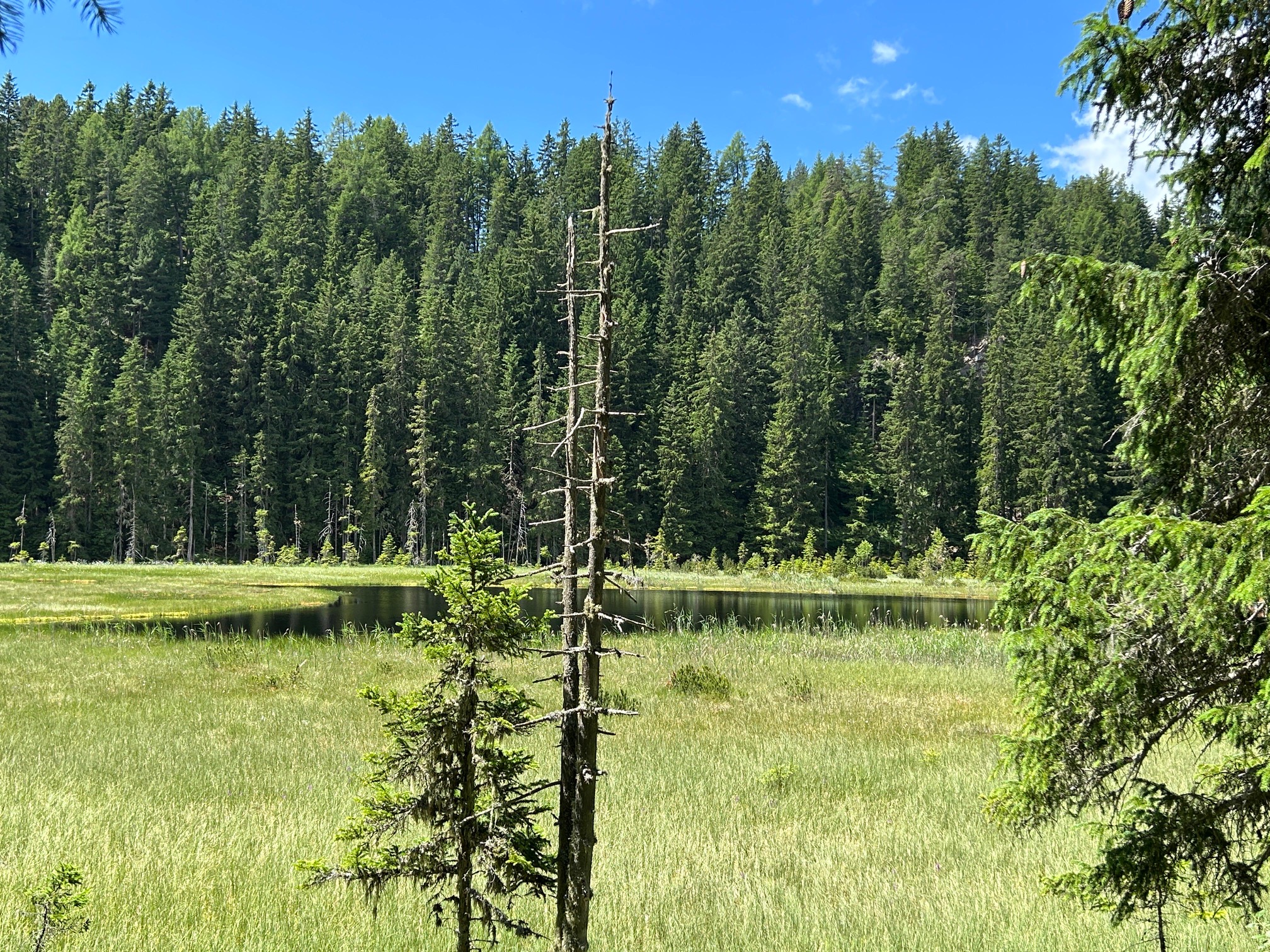 Brandsee in Tirol Moorsee