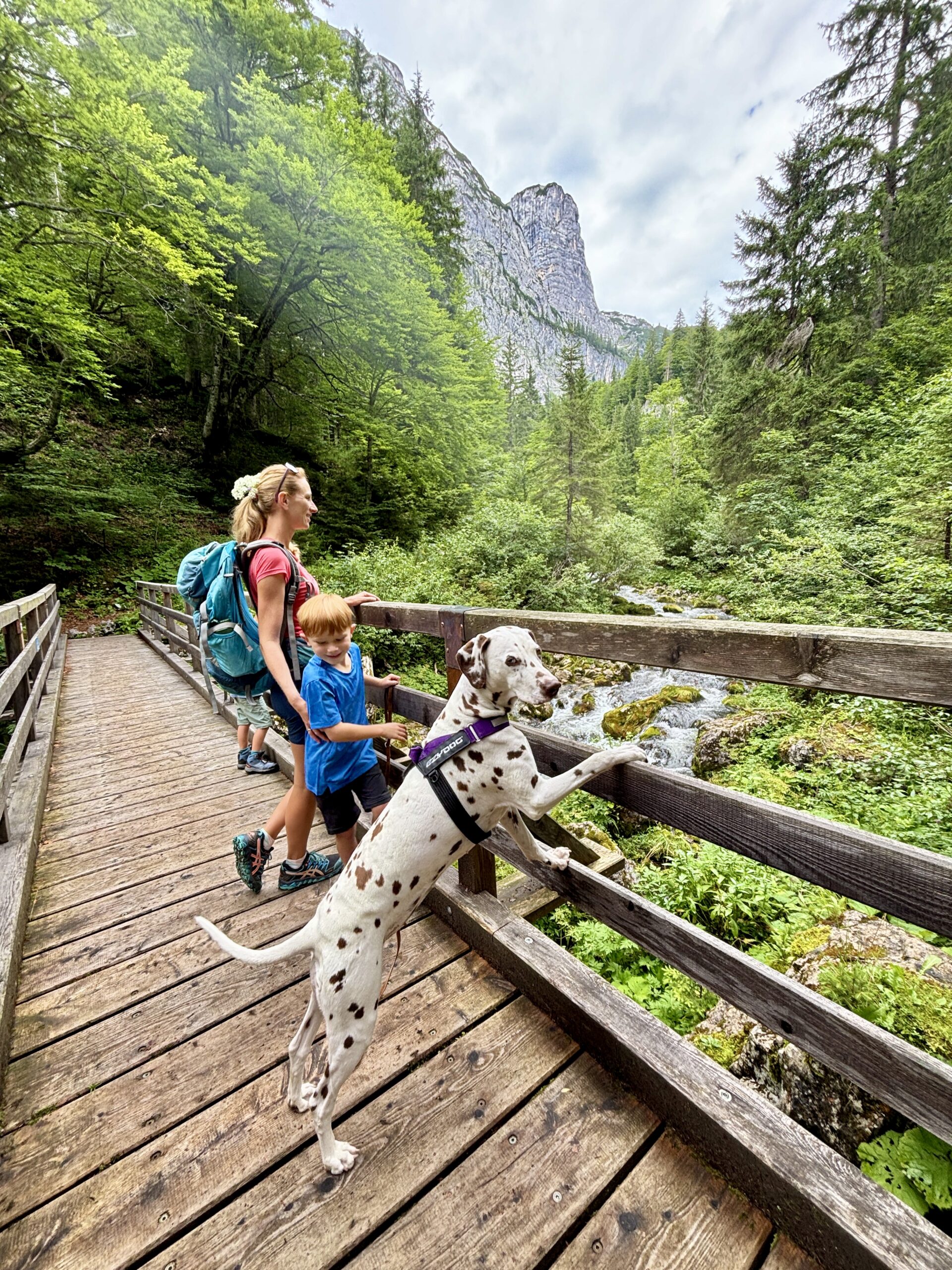 Familienurlaub mit Hund im Ausseerland, Wanderung mit Kindern und Hund Zimitzalm
