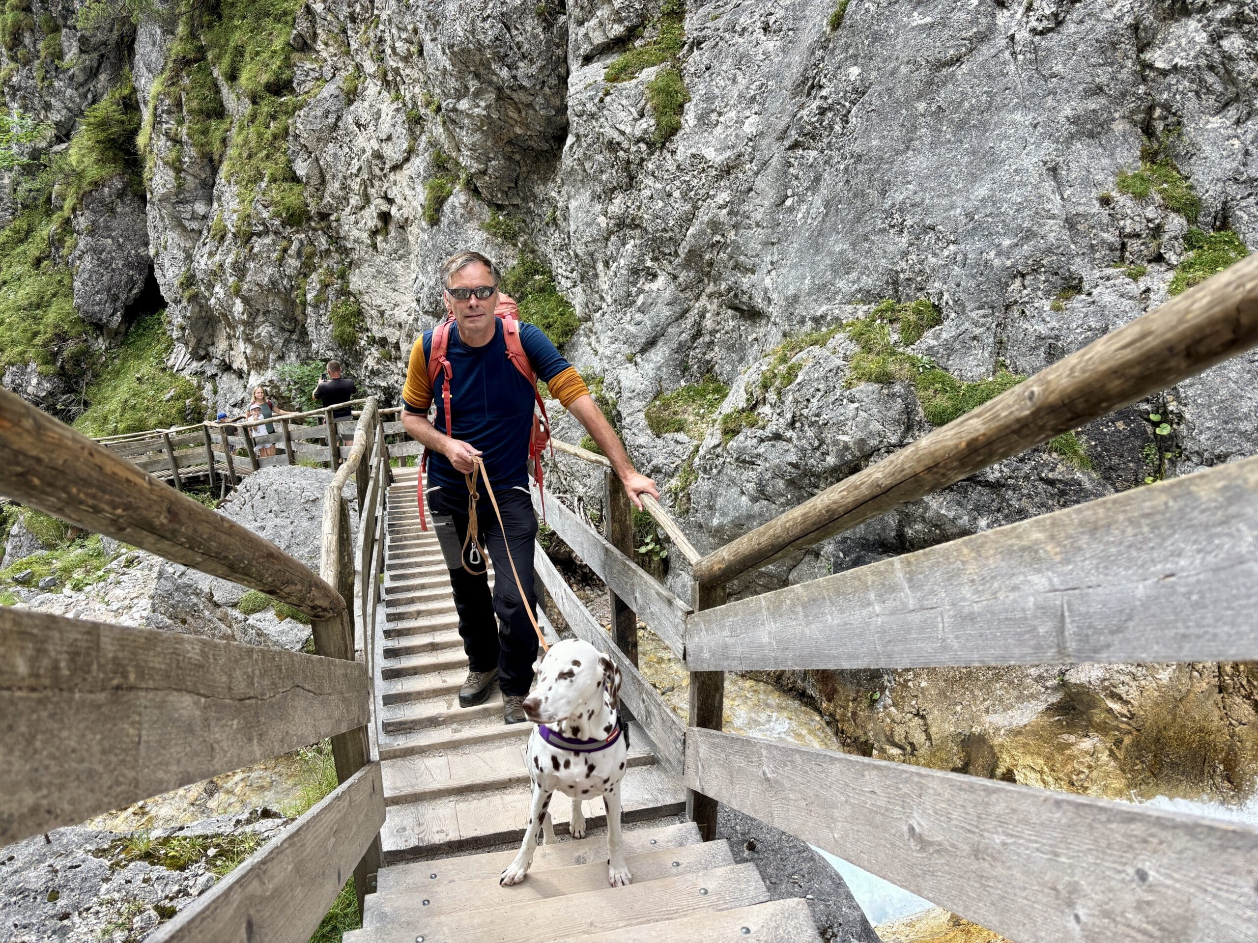 Mann wandert mit Hund durch Silberkarklamm auf Holzbrücken