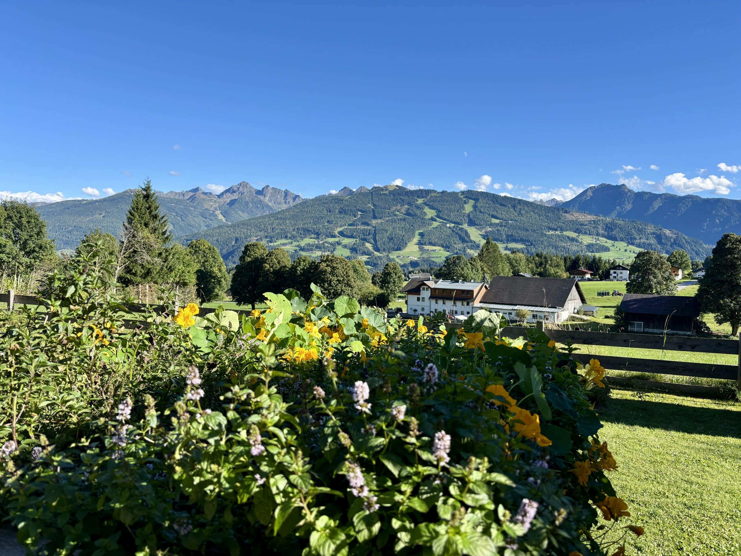 Hundehotel Almfrieden; Ausblick bei sonnigem Wetter auf Schladminger Tauern und Planai