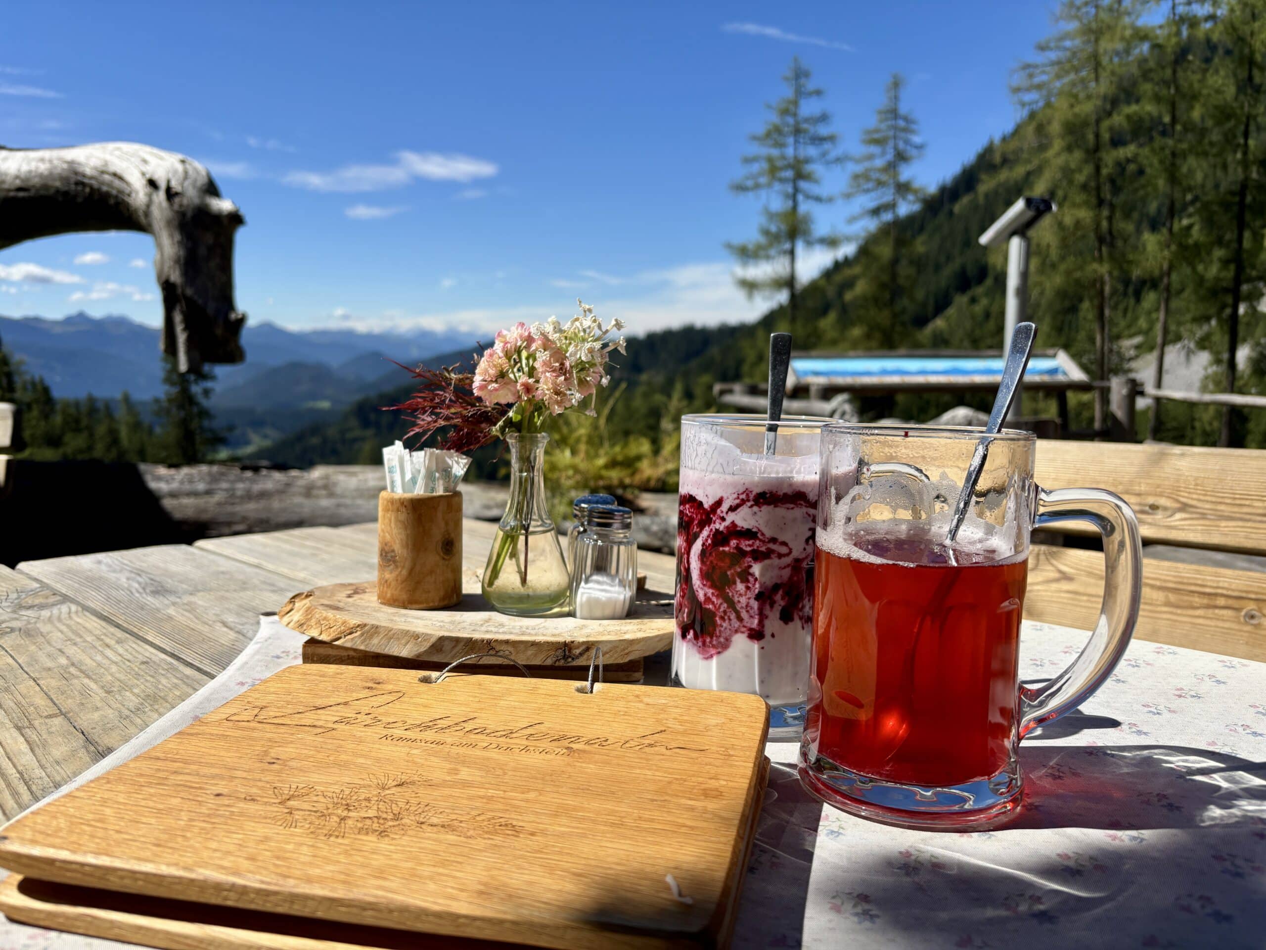 Einkehr Lärchbodenalm; Buttermilch und Preiselbeerlimo