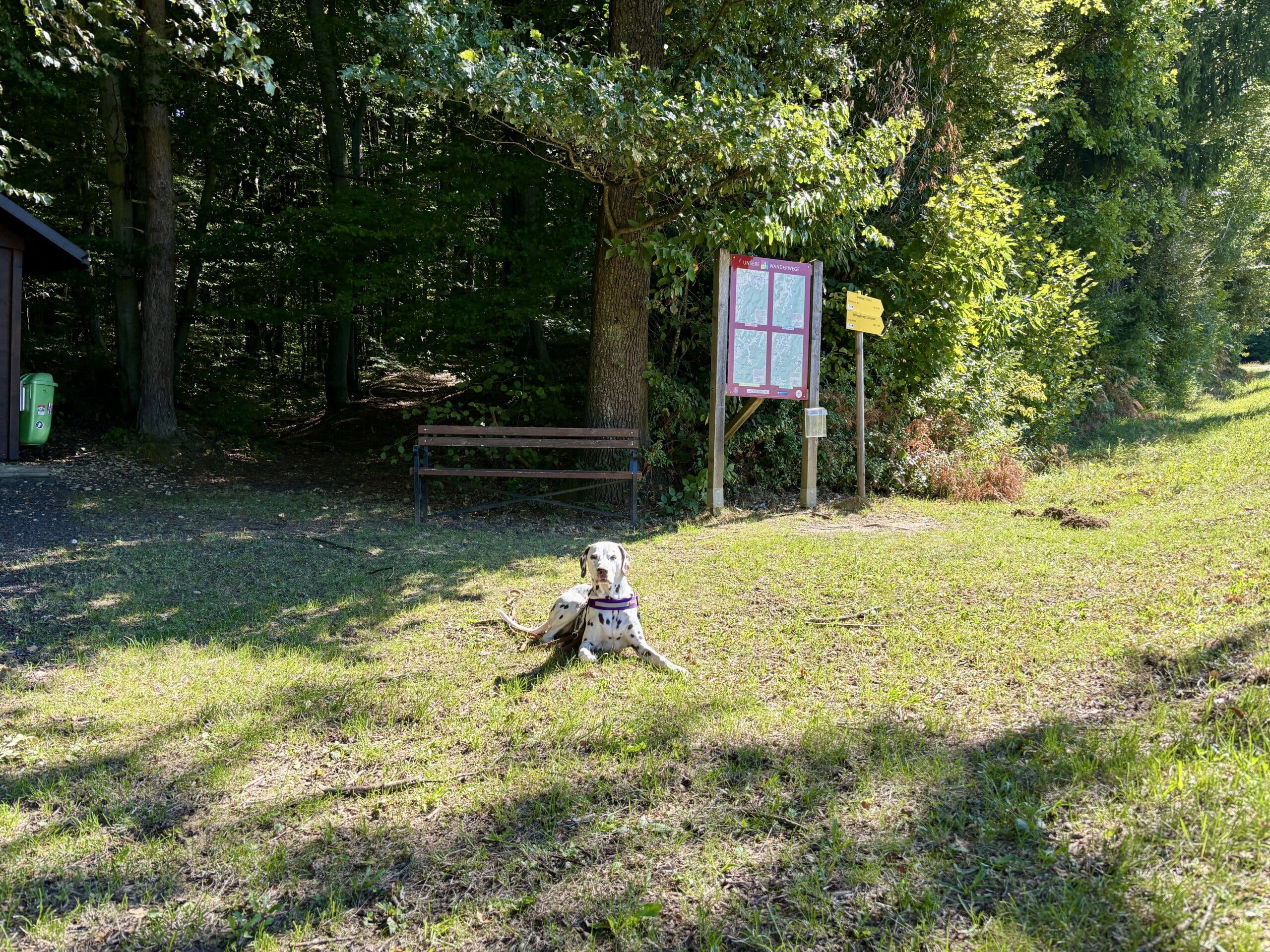 Hund vor Wegweiser am Hotelrundweg Das Eisneberg