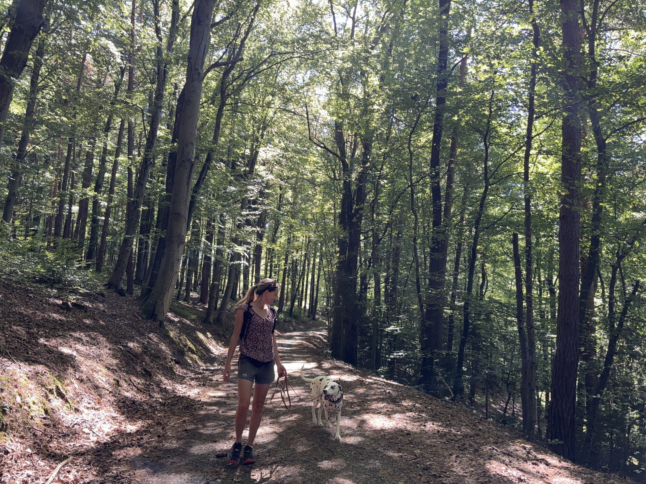 Hotelrundweg "Das Eisenberg" Frau wandert mit Hund im Wald
