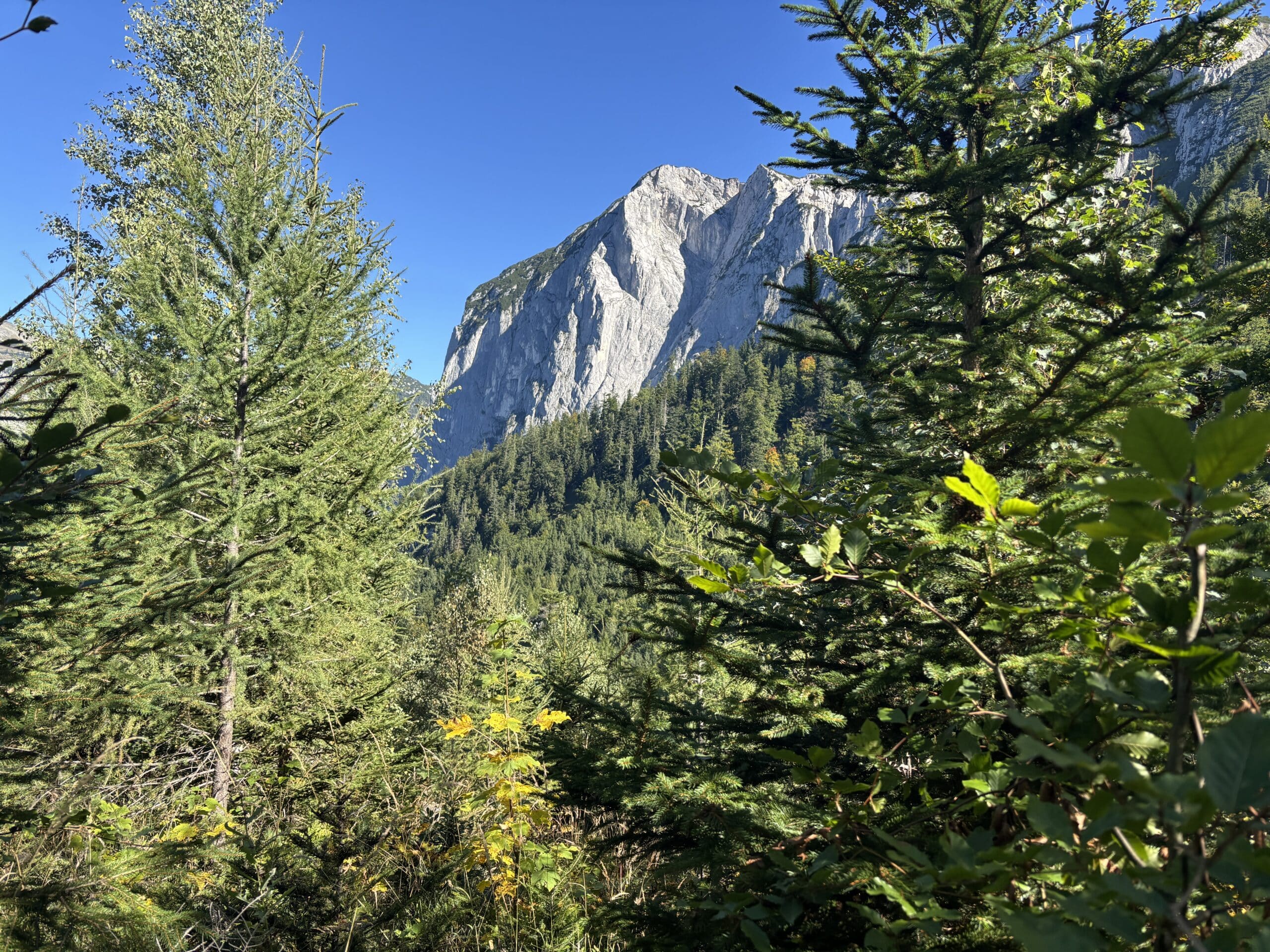 Trisselwand im Ausseerland